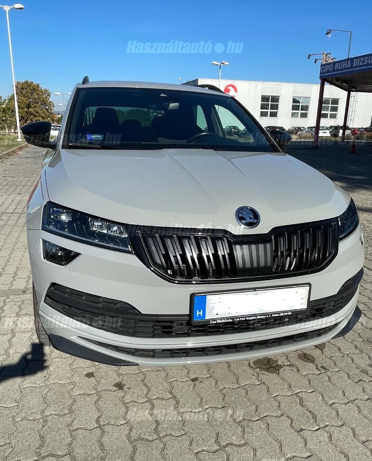 SKODA KAROQ 2019/3 - 1