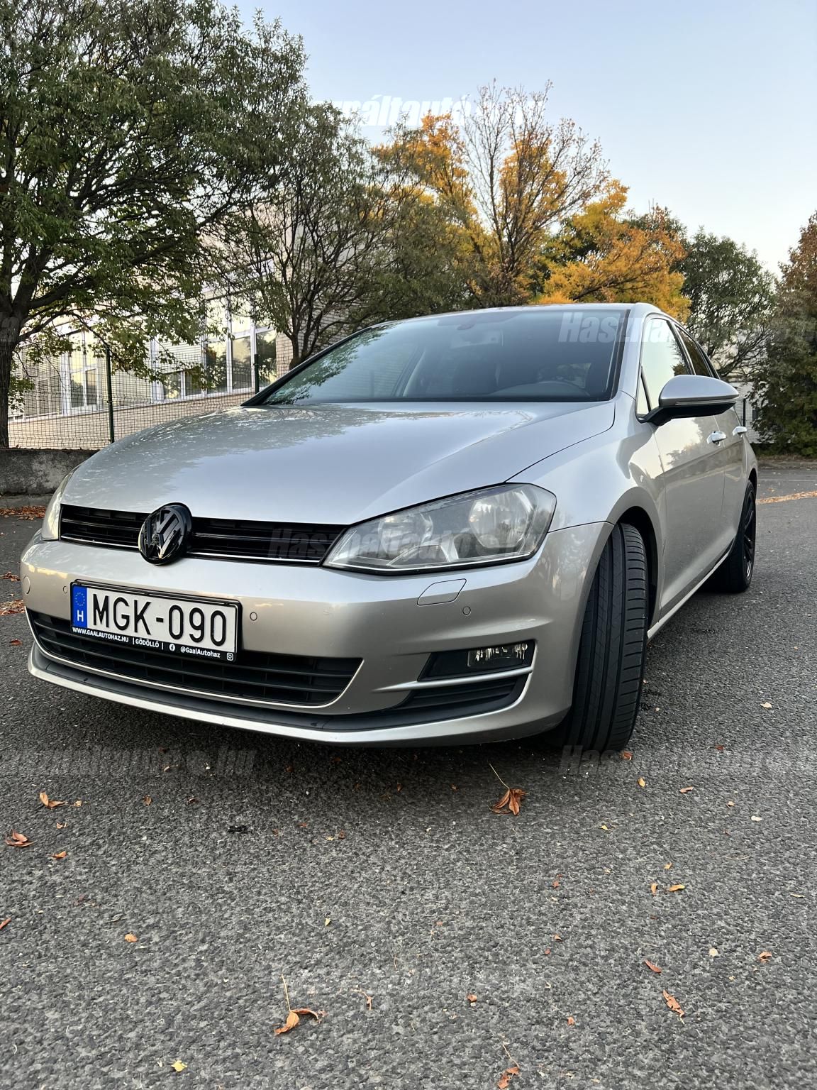 VOLKSWAGEN GOLF VII 2012/11 - 1