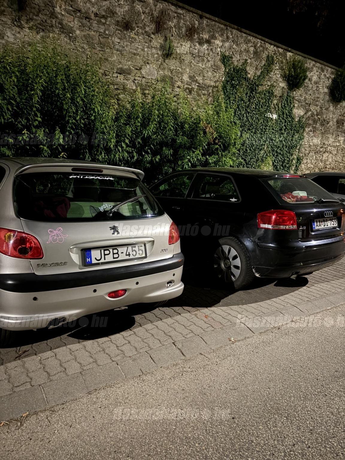 PEUGEOT 206 2004/12 - 1