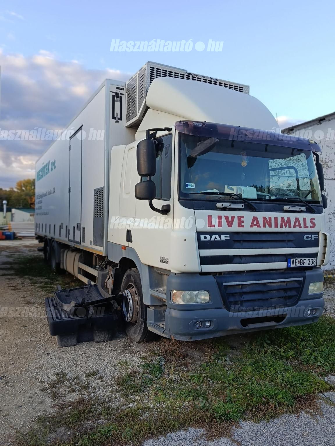 DAF 2009/10 - 1
