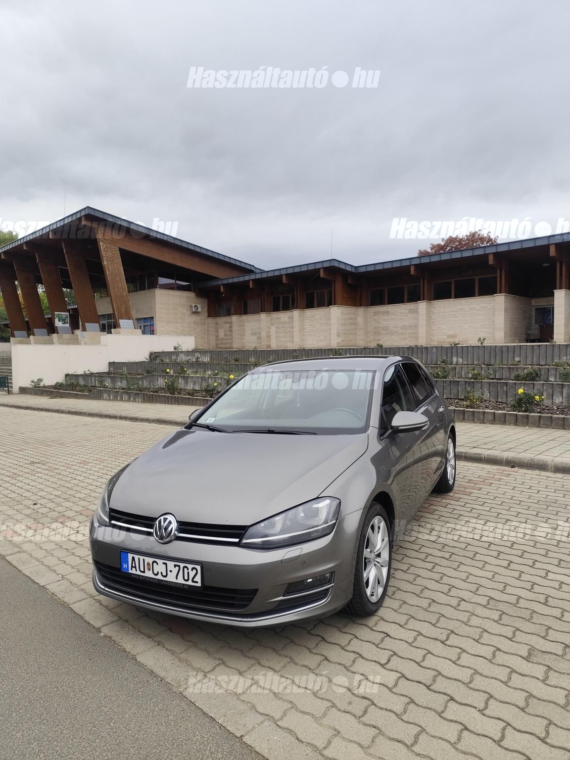 VOLKSWAGEN GOLF VII 2013/8 - 1