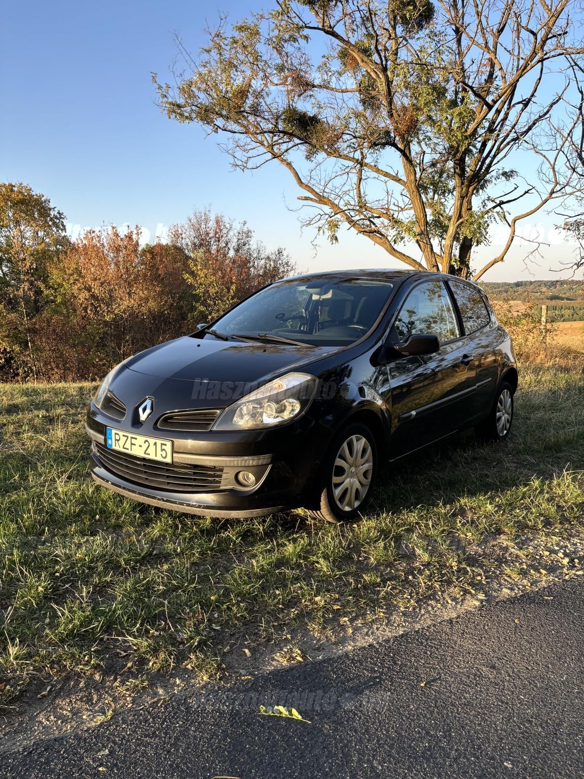 RENAULT CLIO 2005 - 1
