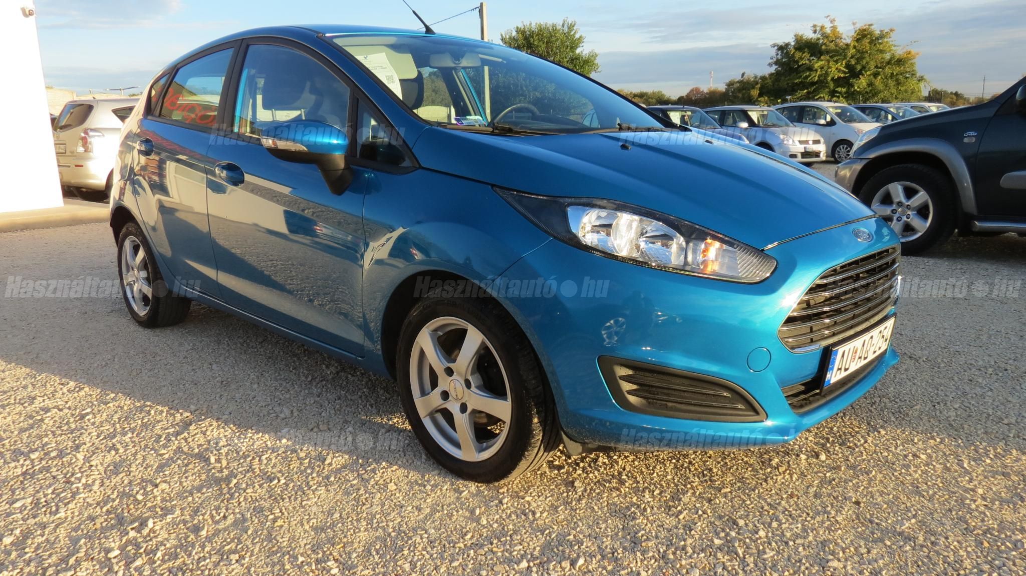 FORD FIESTA 2014/5 - 1