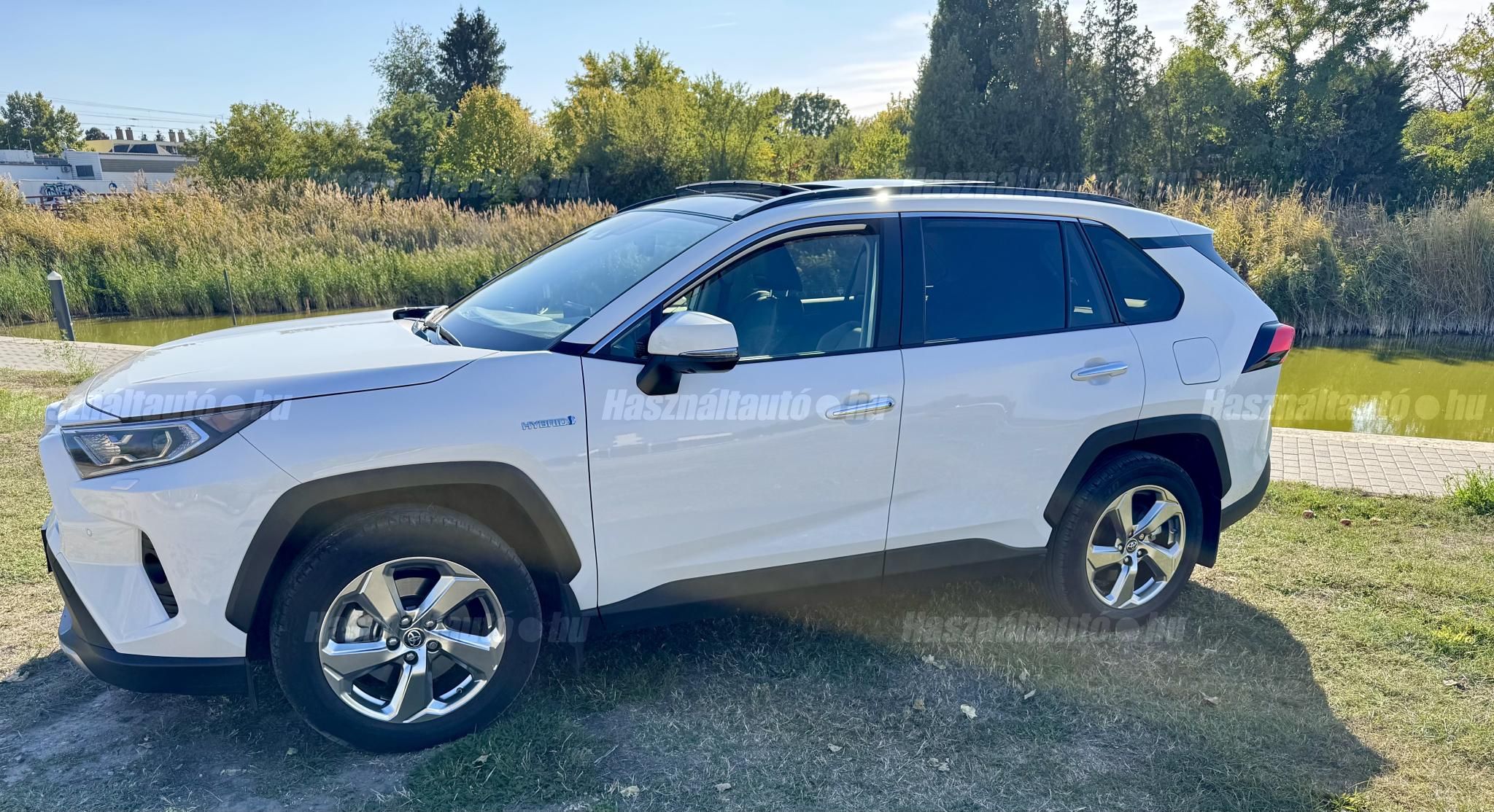 TOYOTA RAV 4 2019 - 1