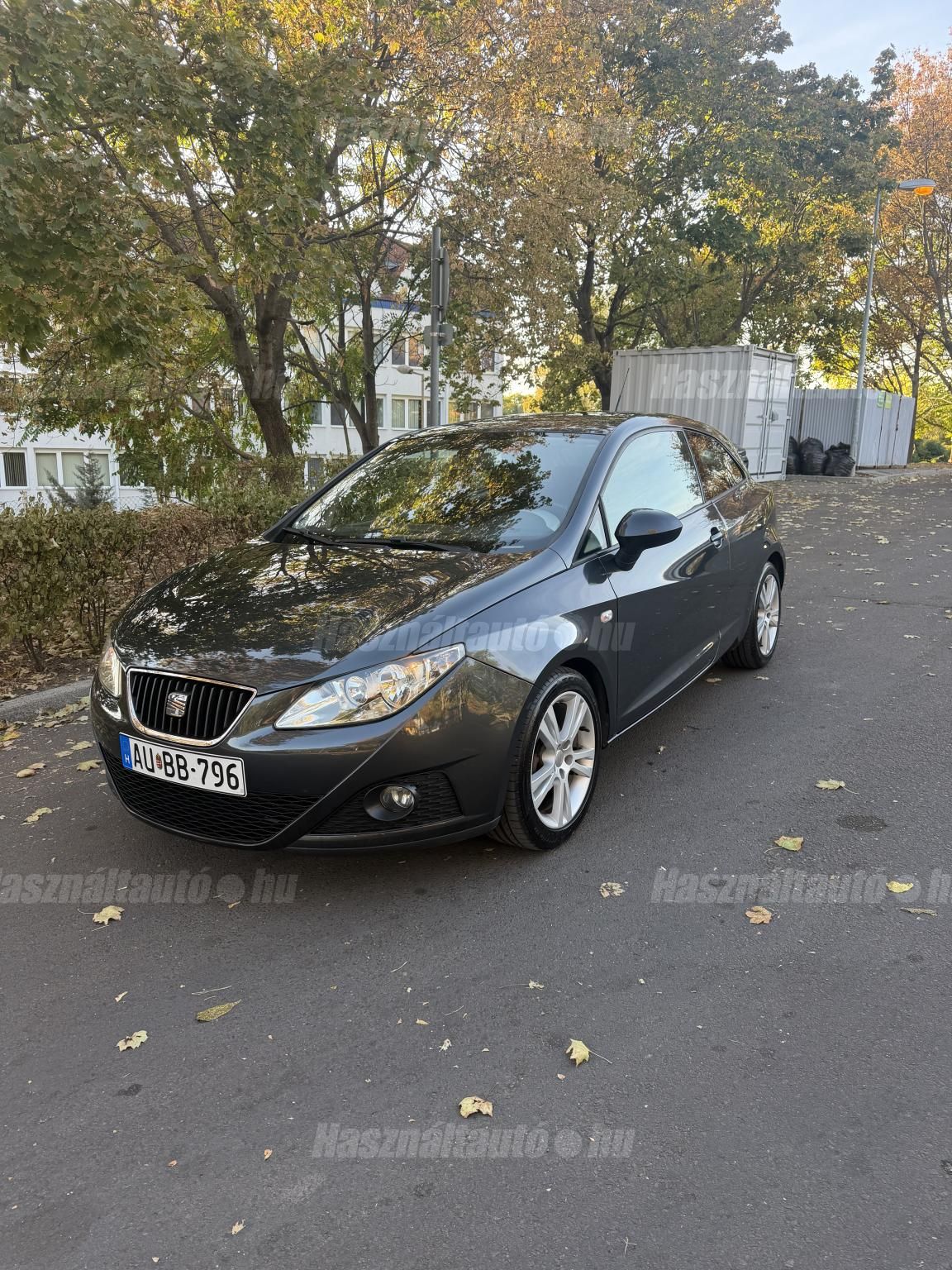 SEAT IBIZA 2009/5 - 1