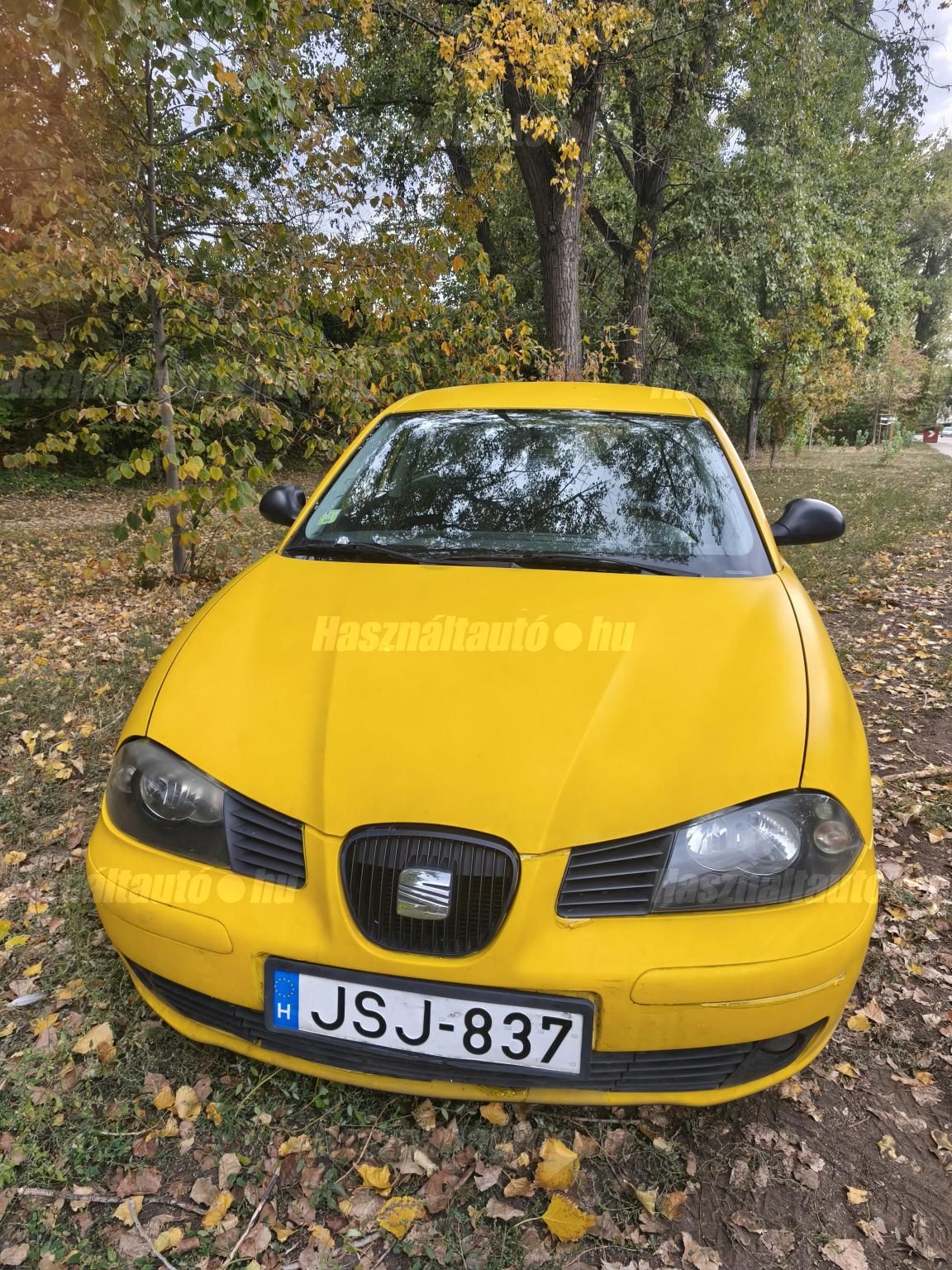 SEAT IBIZA 2005/3 - 1