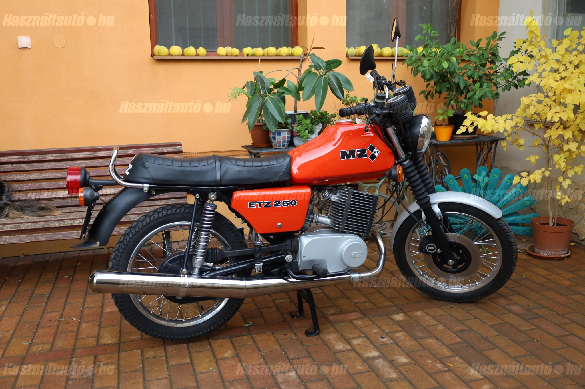 MZ ETZ 250 1987 - 1