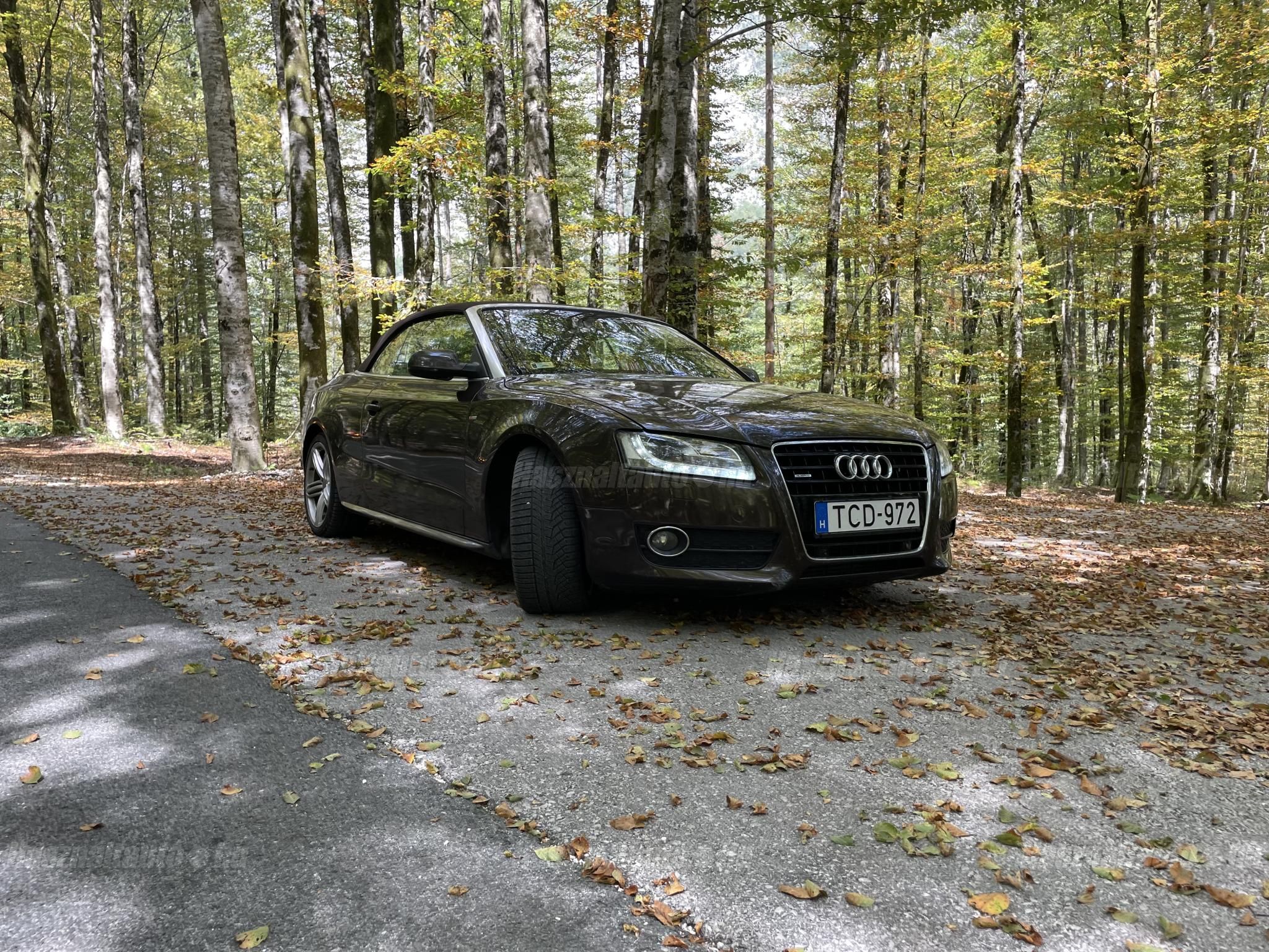 AUDI A5 CABRIO 2011/4 - 1