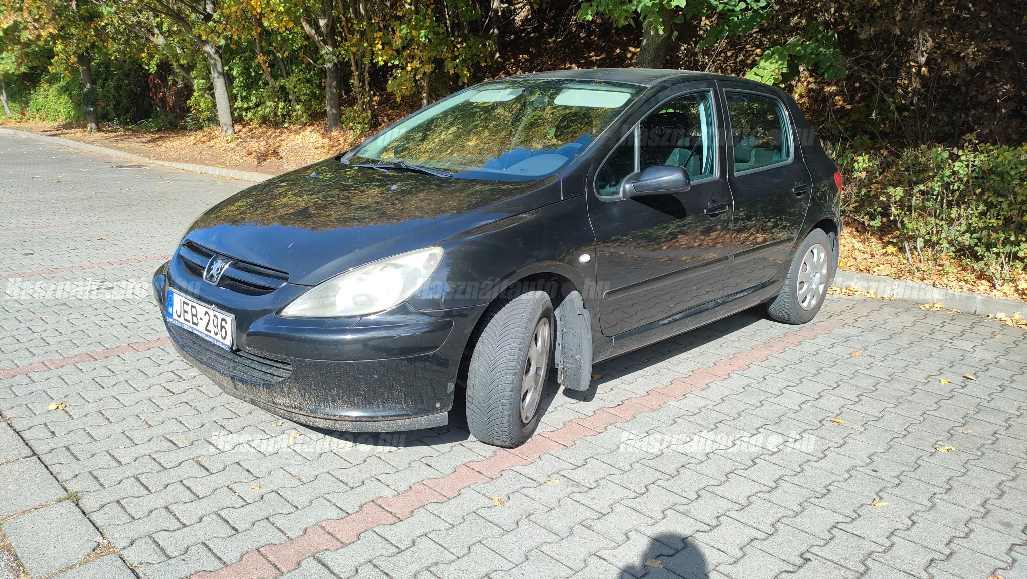 PEUGEOT 307 2004/6 - 1