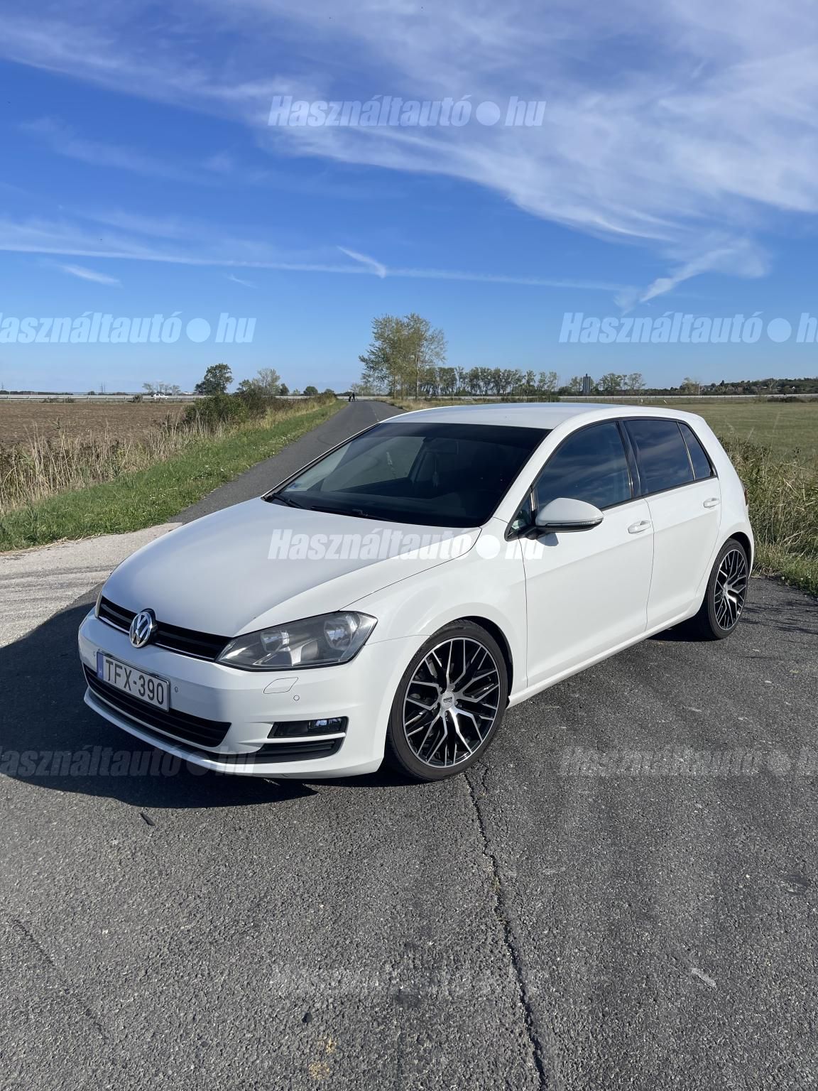VOLKSWAGEN GOLF VII 2013 - 1