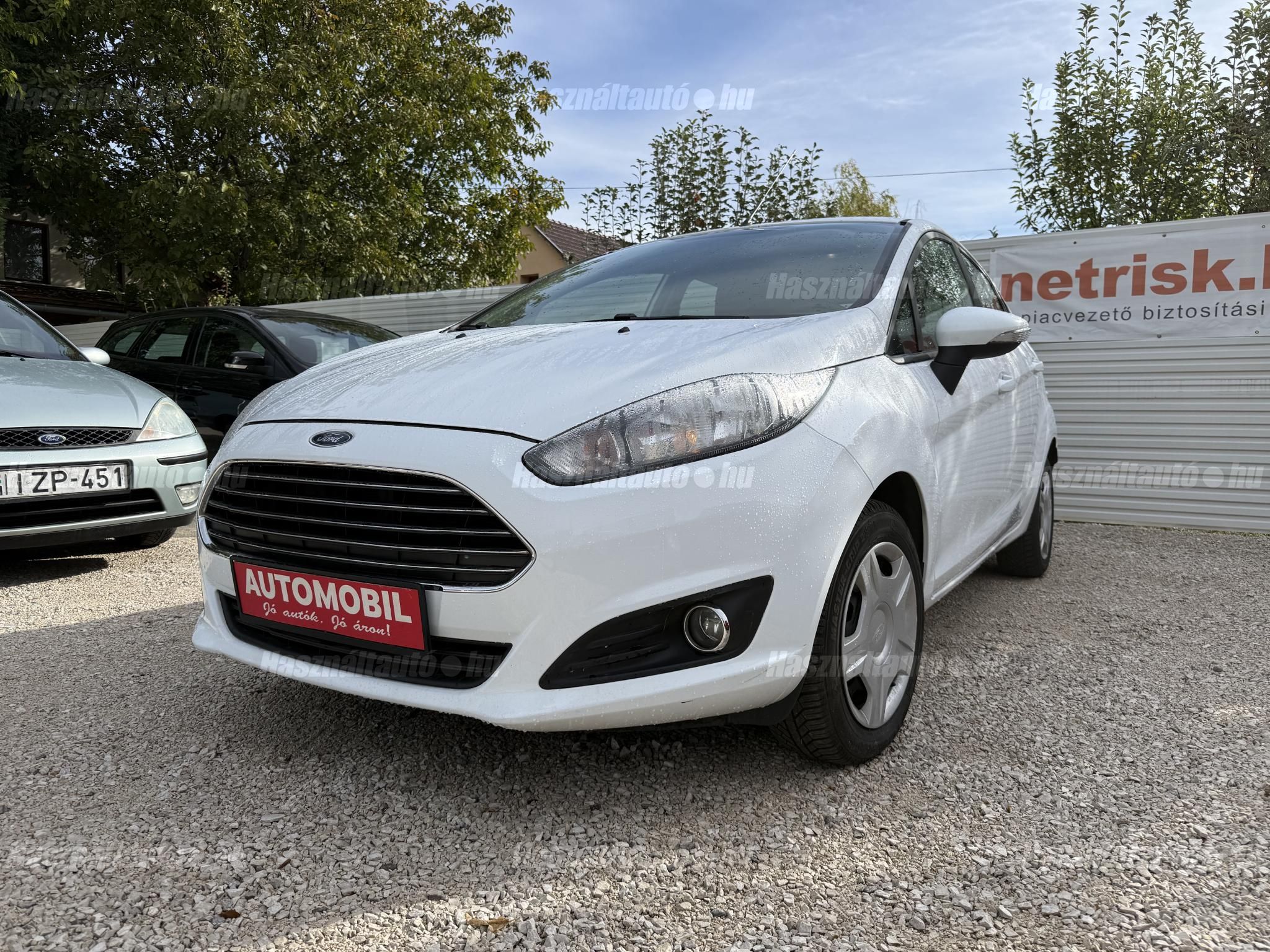 FORD FIESTA 2015/3 - 1