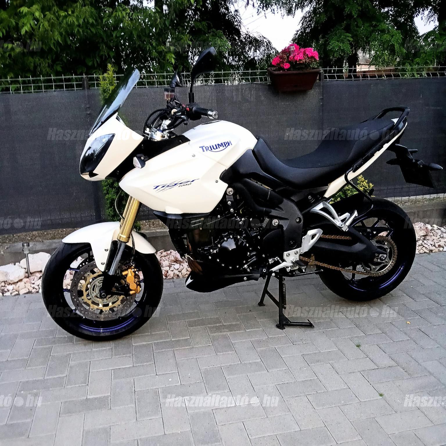 TRIUMPH TIGER 1050 ABS 2011 - 1