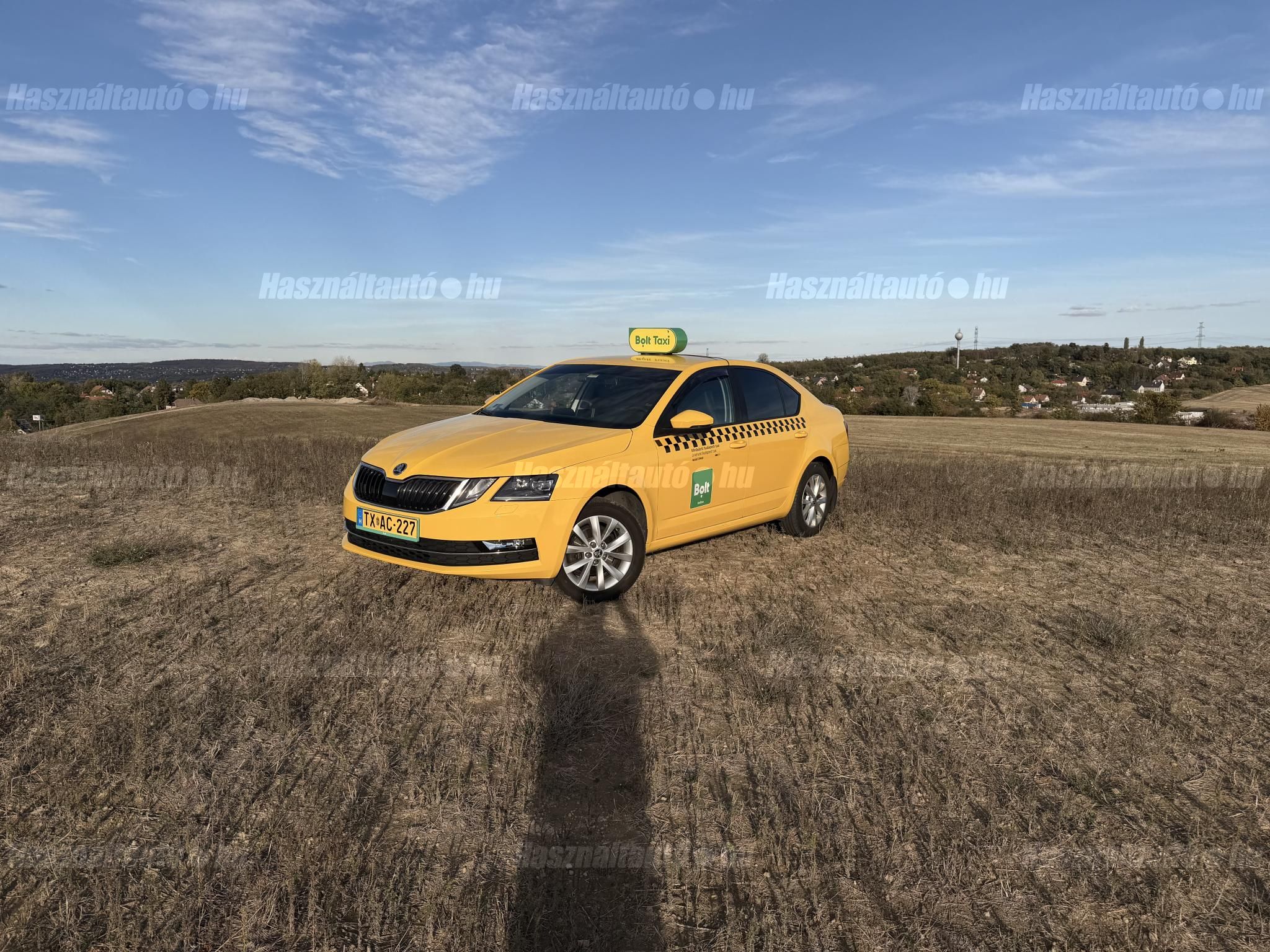 SKODA OCTAVIA 2018/7 - 1