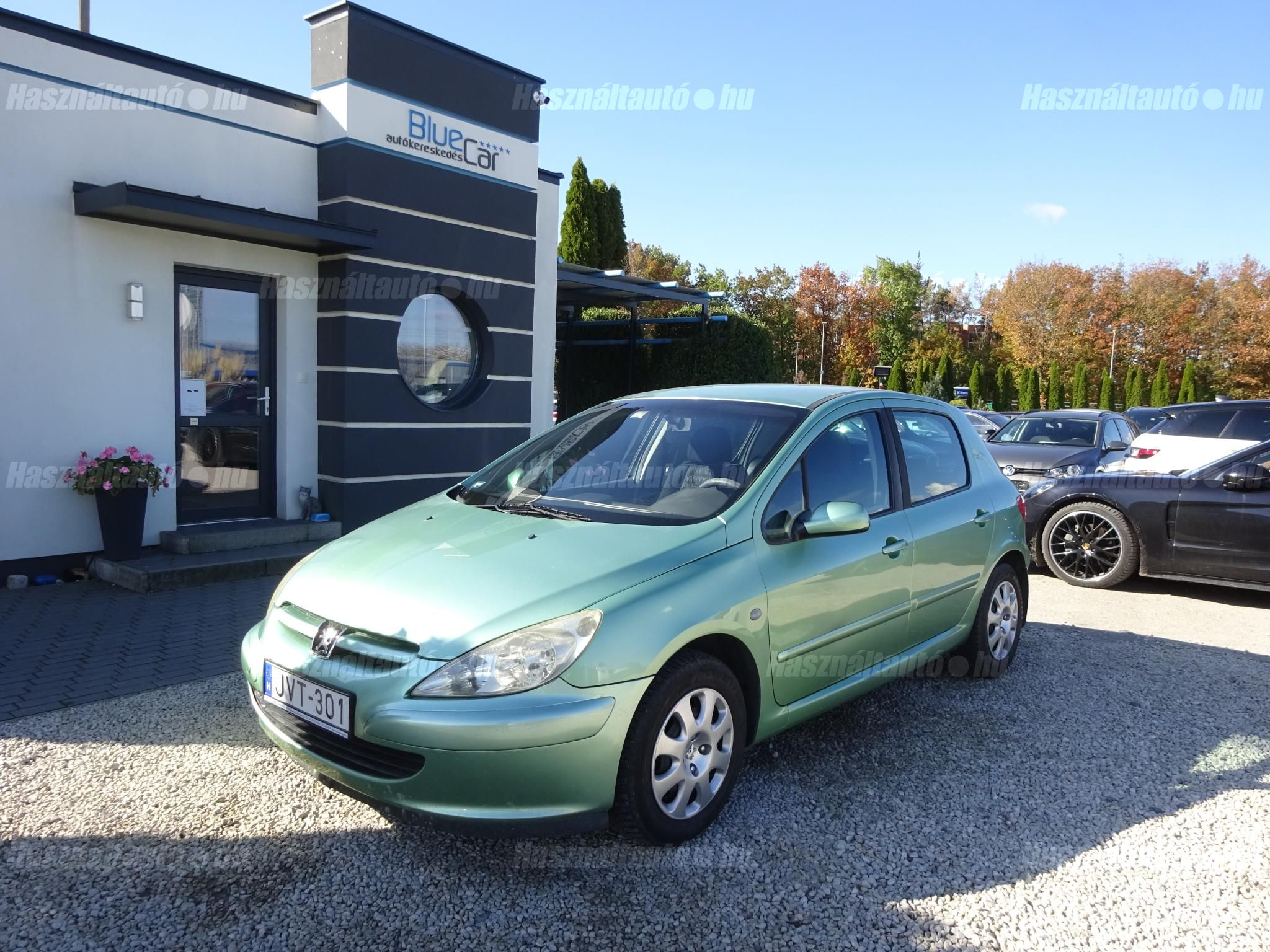 PEUGEOT 307 2005/10 - 1