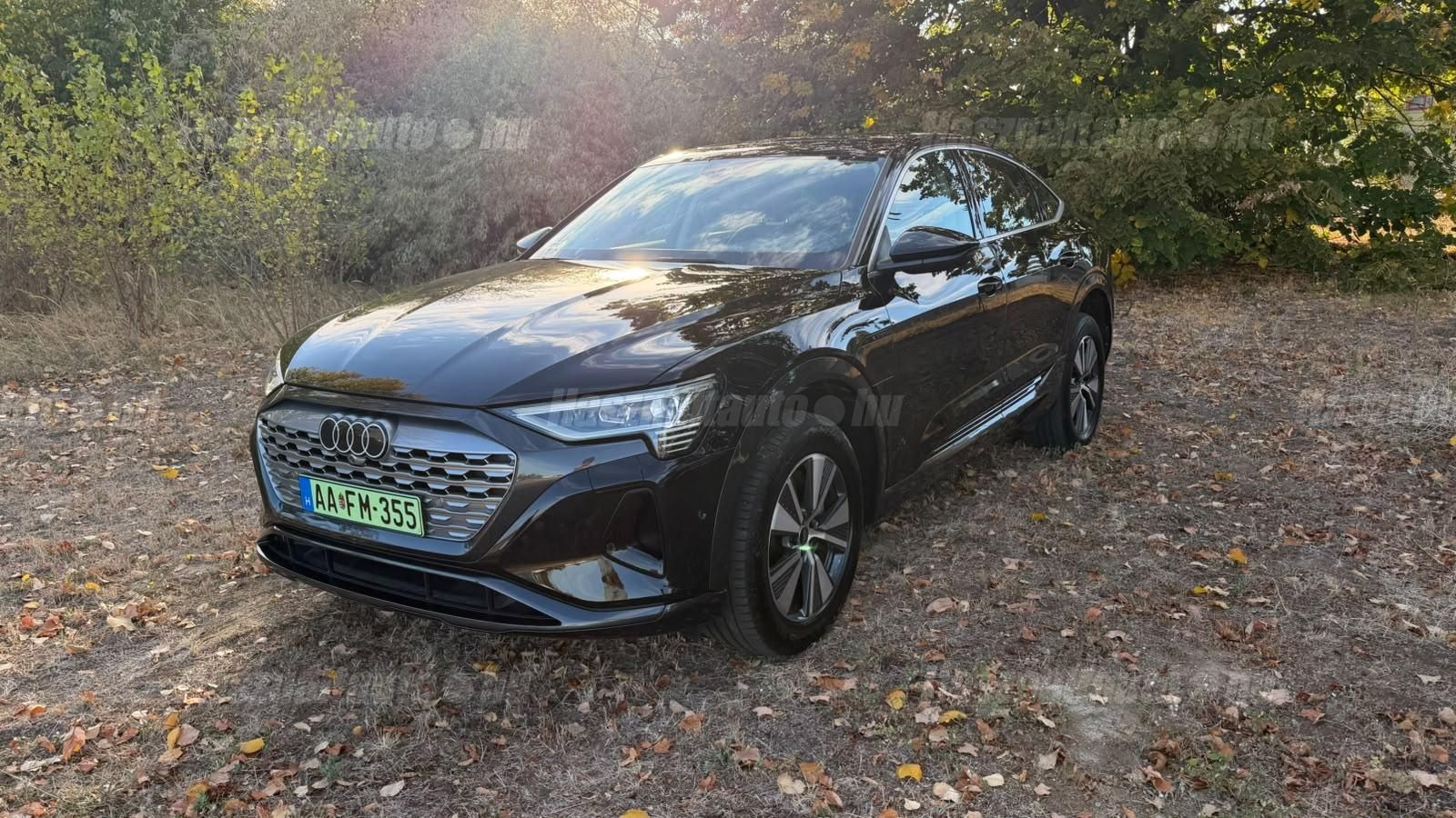 AUDI Q8 2023/2 - 1