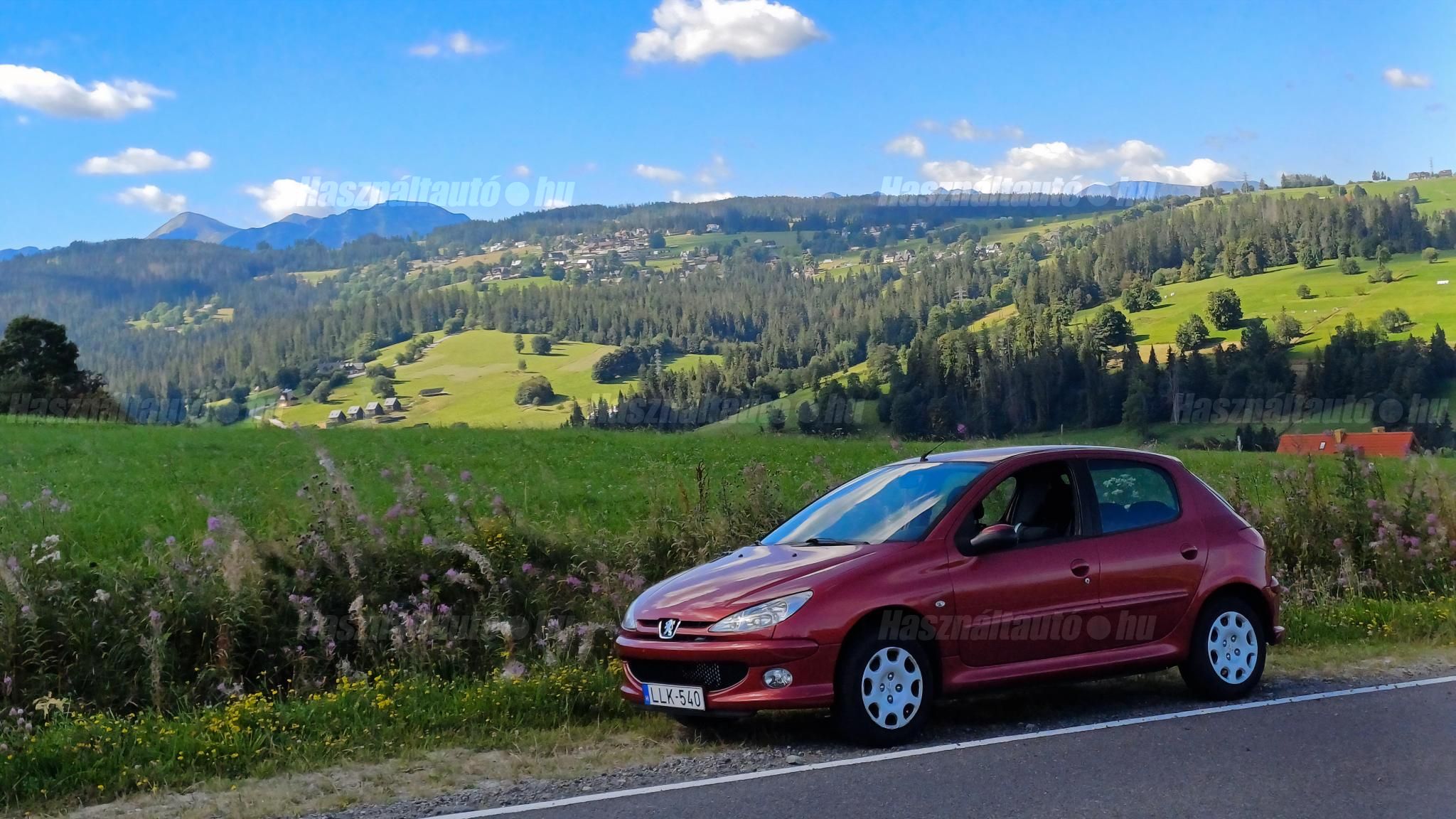 PEUGEOT 206 2009/1 - 1