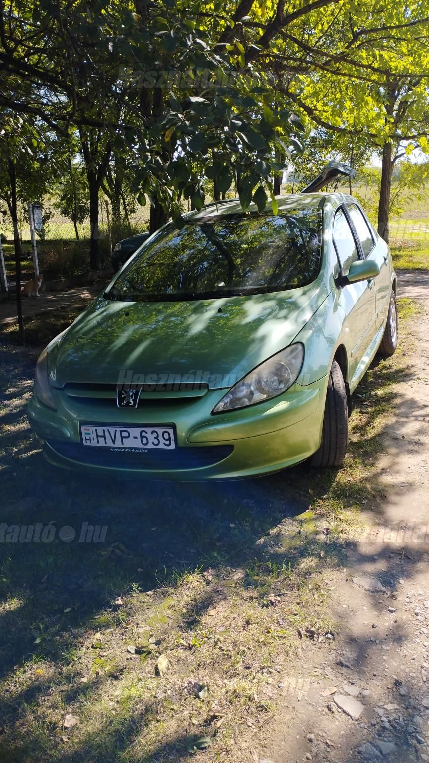 PEUGEOT 307 2001/7 - 1