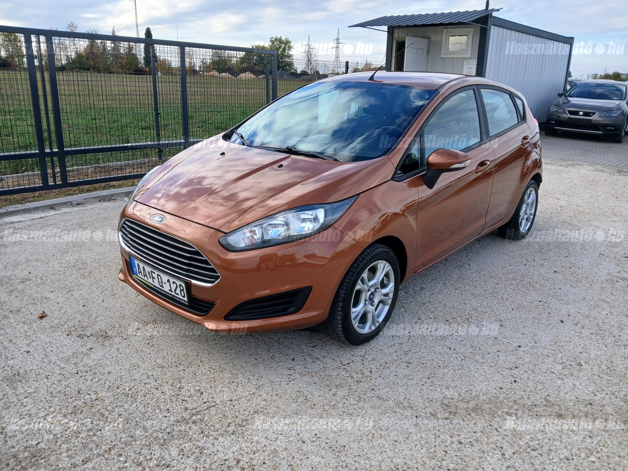 FORD FIESTA 2014/4 - 1