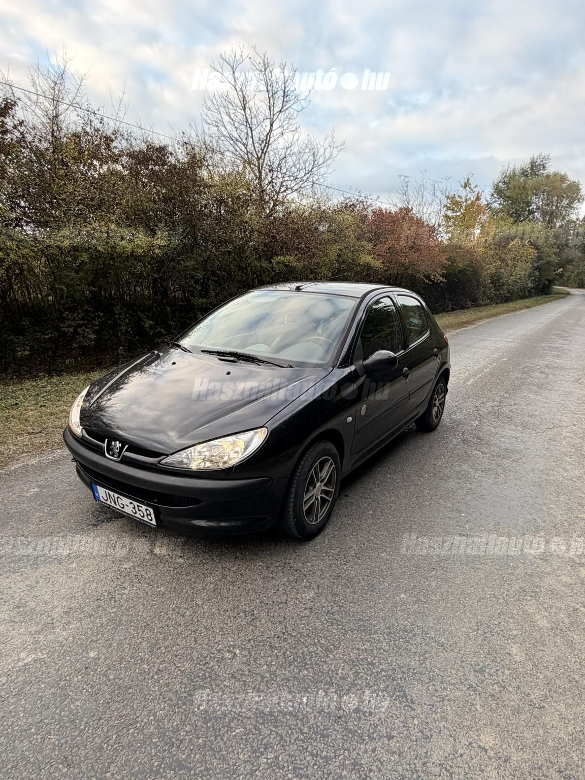 PEUGEOT 206 2005/5 - 1
