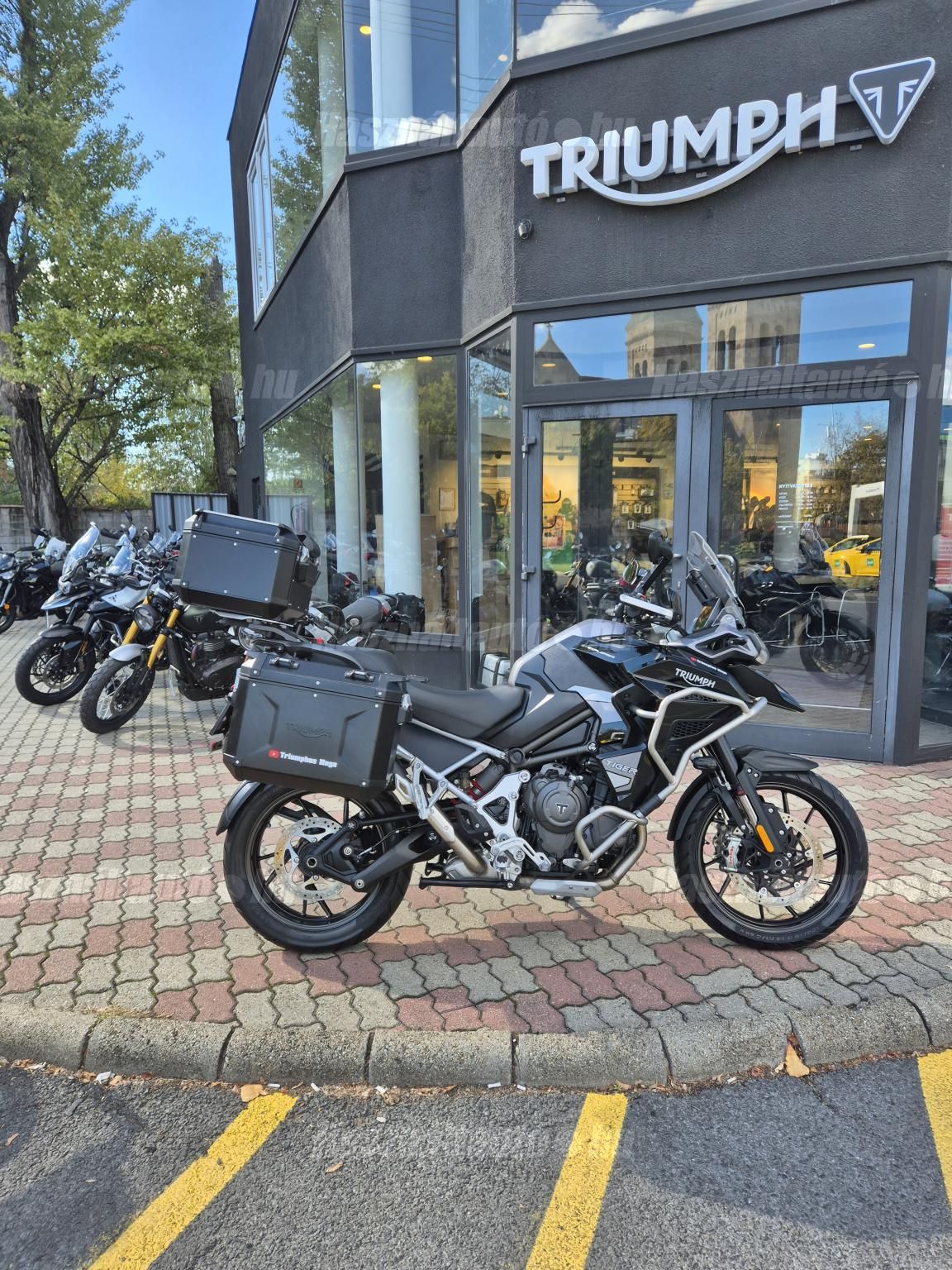 TRIUMPH TIGER 1200 2024/4 - 1
