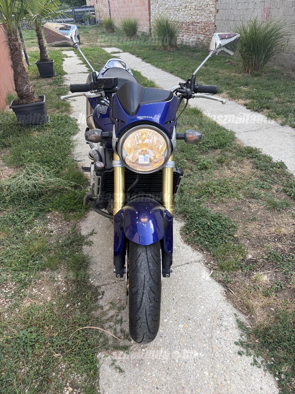 HONDA CB 600 F (HORNET) 2006/6 - 1