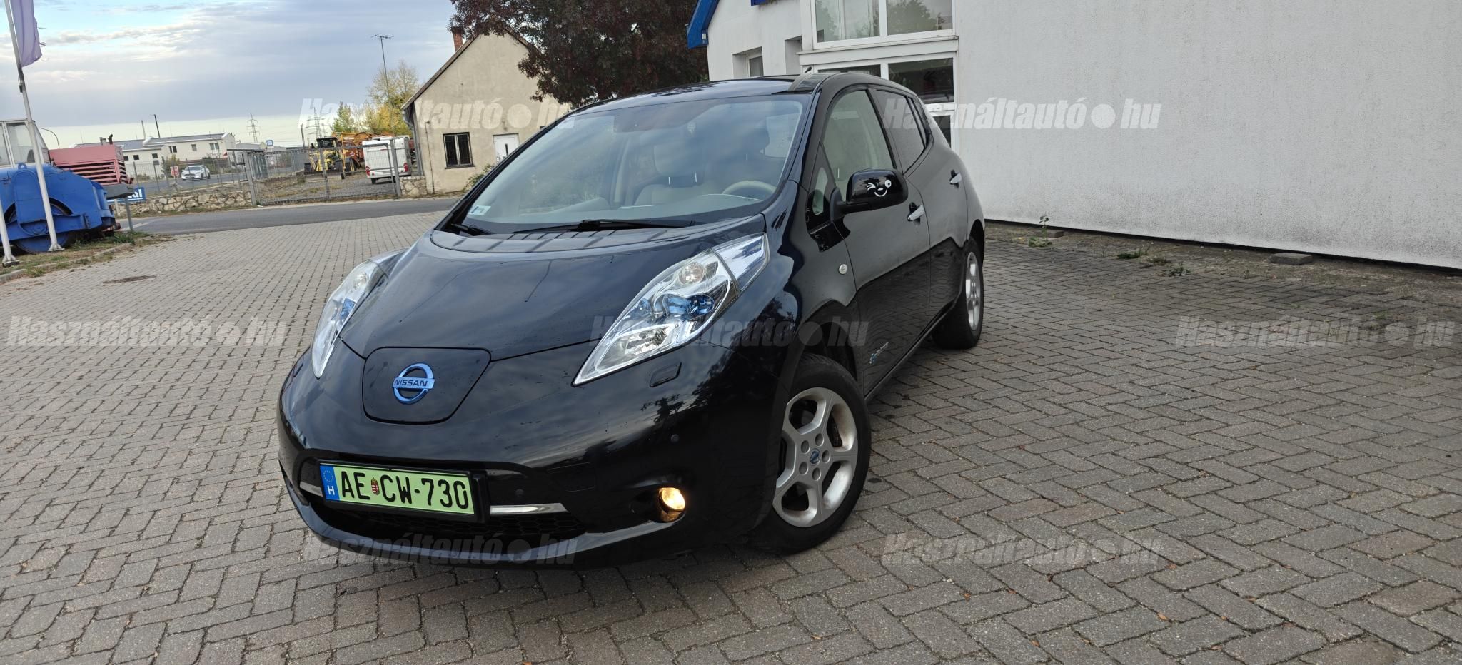 NISSAN LEAF 2013/3 - 1