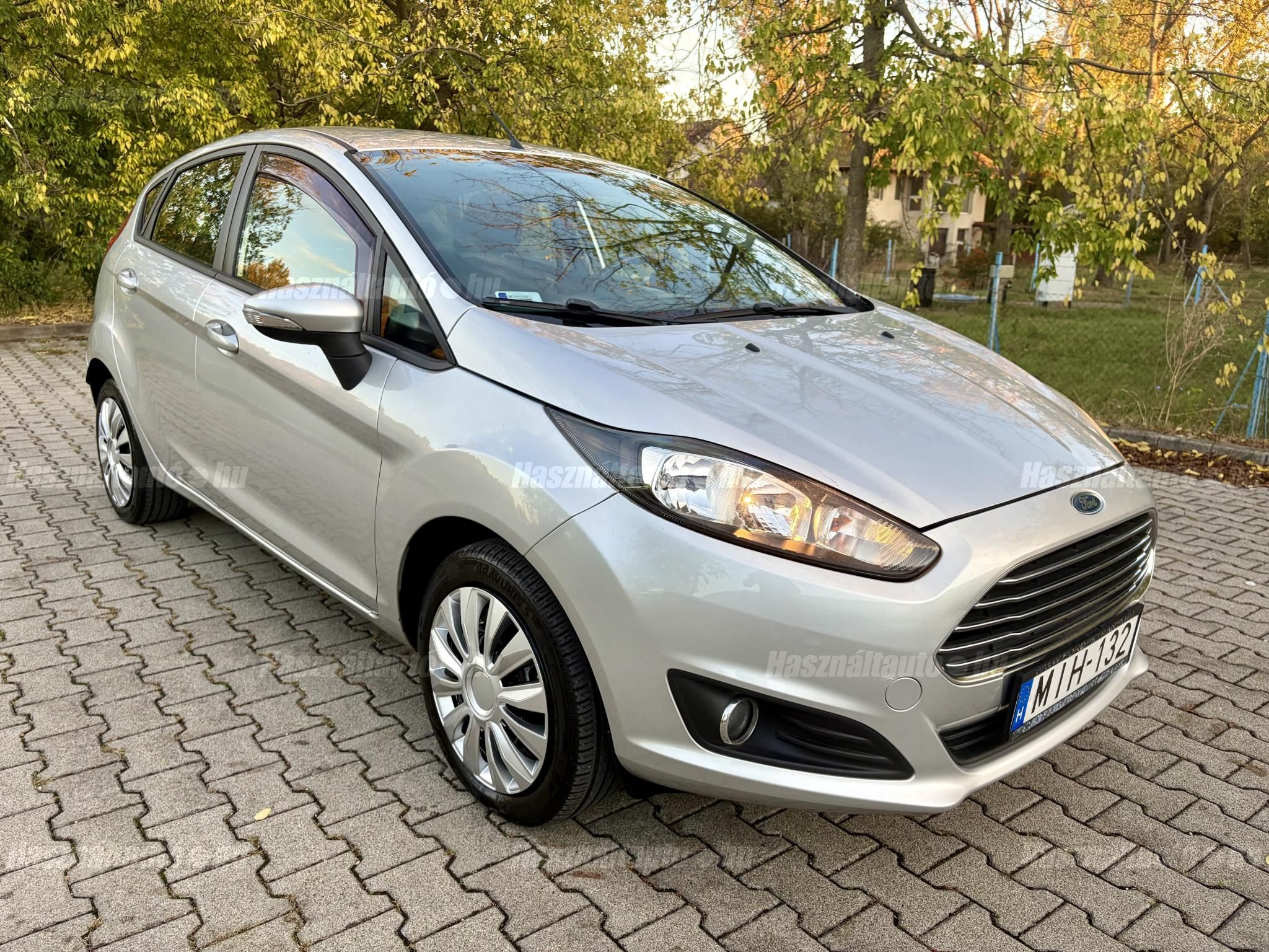 FORD FIESTA 2013/3 - 1