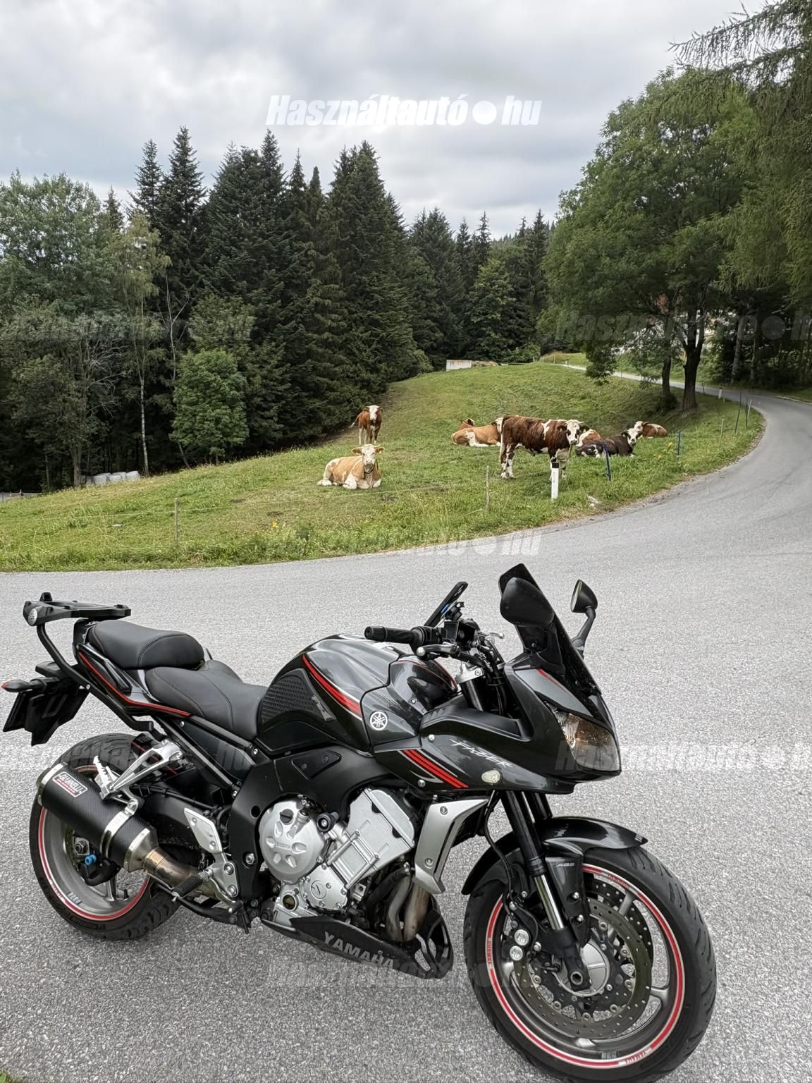 YAMAHA FZ1-S 2008/9 - 1