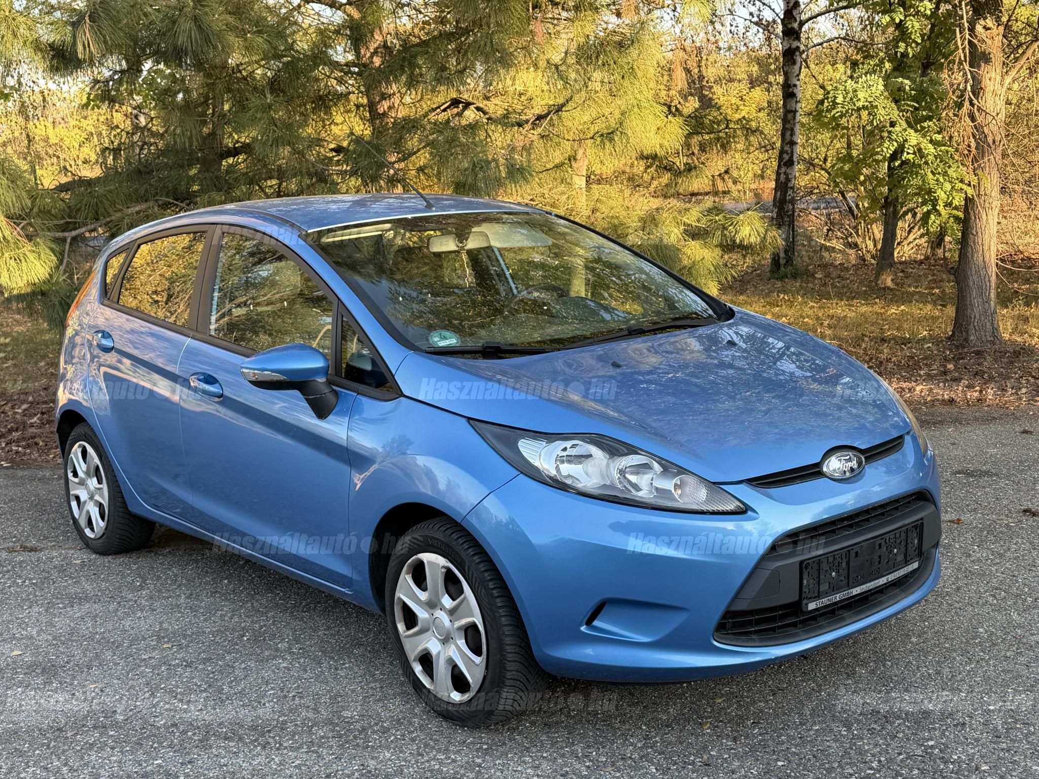 FORD FIESTA 2010 - 1