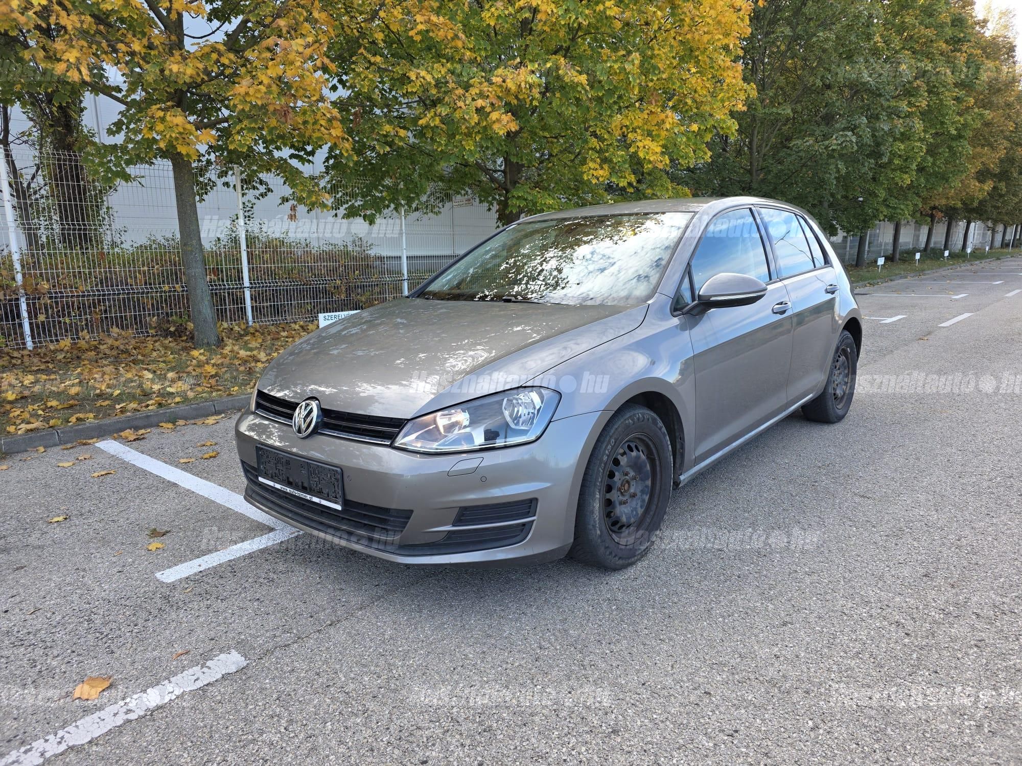 VOLKSWAGEN GOLF VII 2013/5 - 1