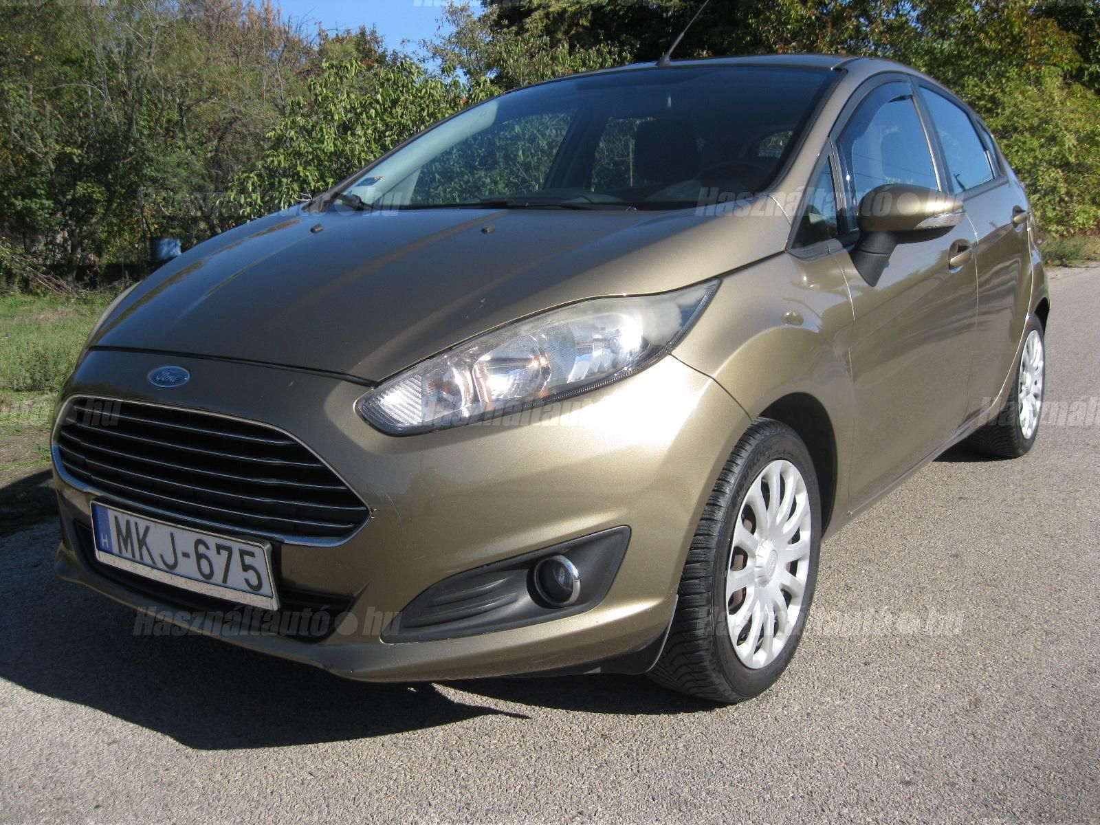 FORD FIESTA 2013/7 - 1
