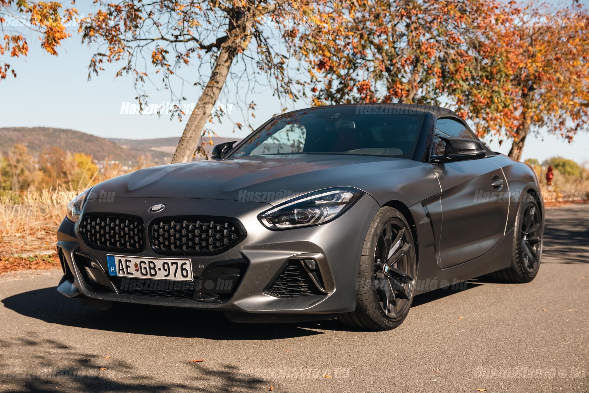 BMW Z4 2020/1 - 1