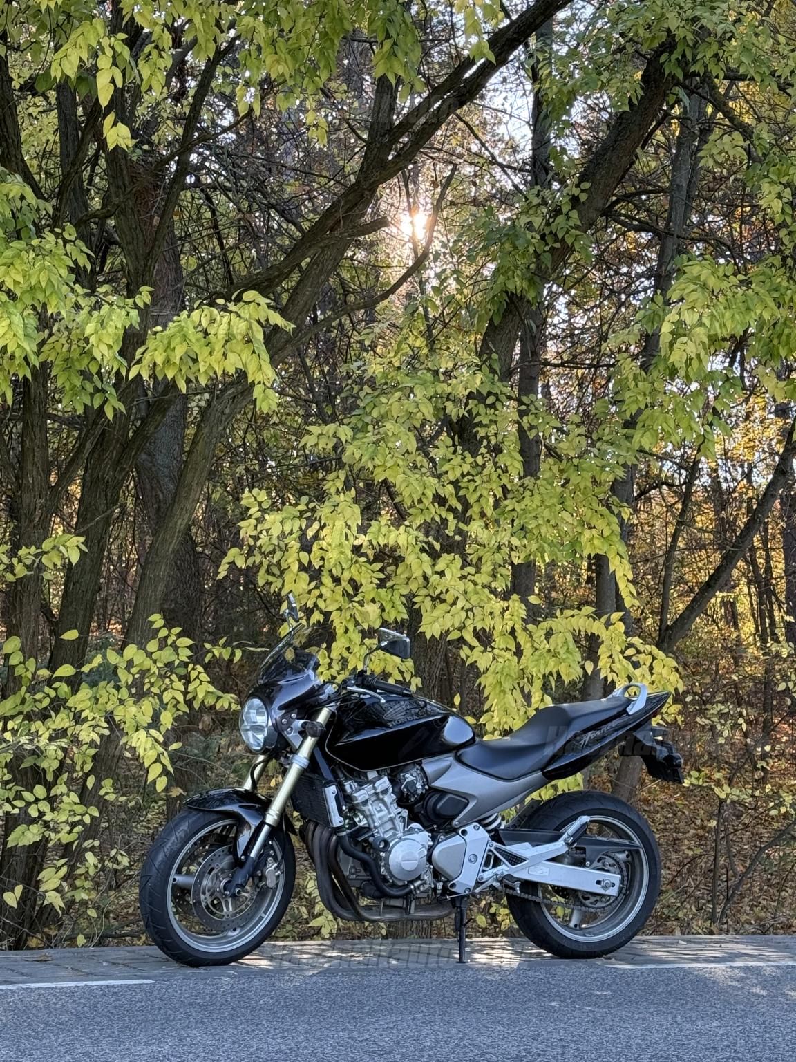 HONDA CB 600 F (HORNET) 2006/3 - 1