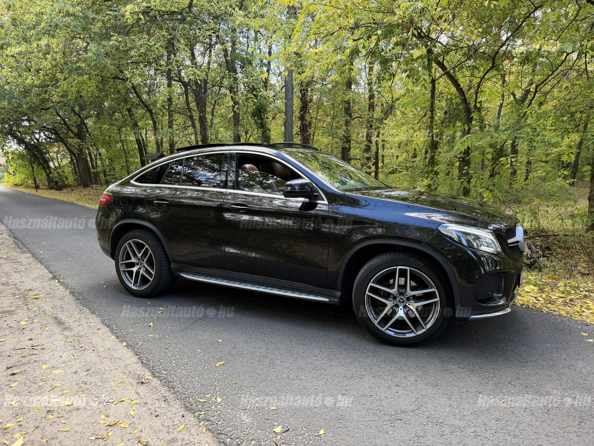 MERCEDES-BENZ GLE 350 2019/1 - 1