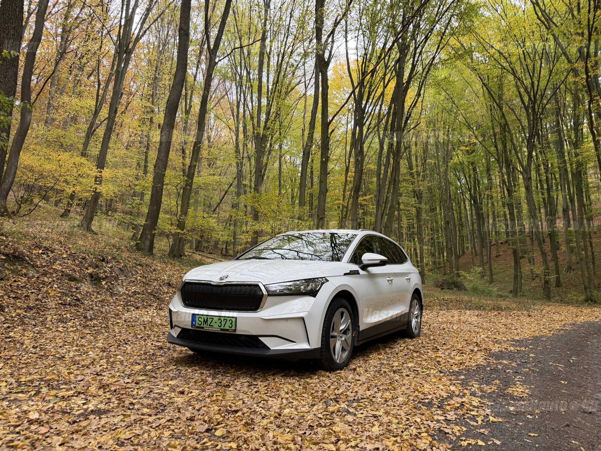 SKODA ENYAQ 2021/8 - 1