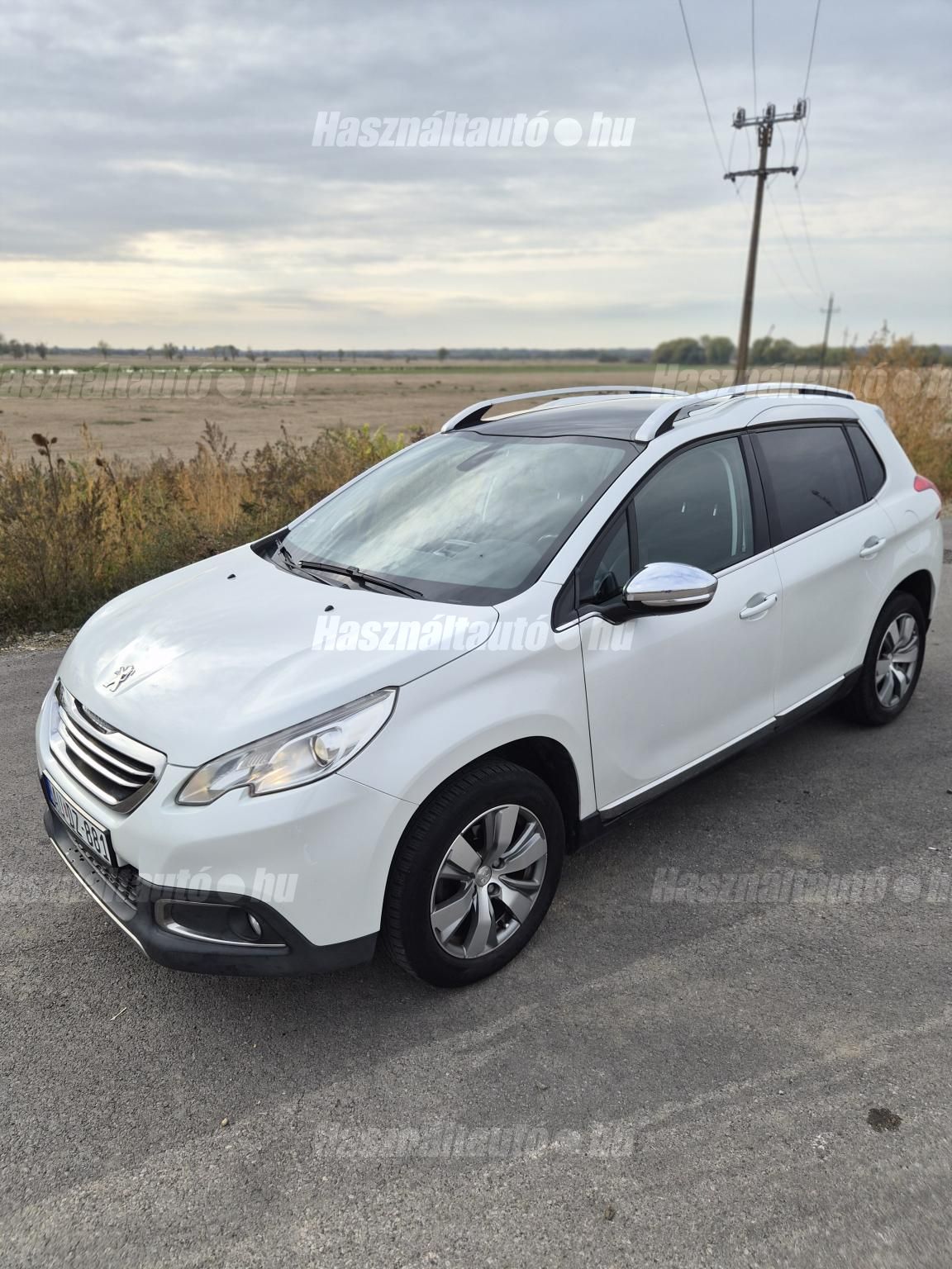 PEUGEOT 2008 2013/10 - 1