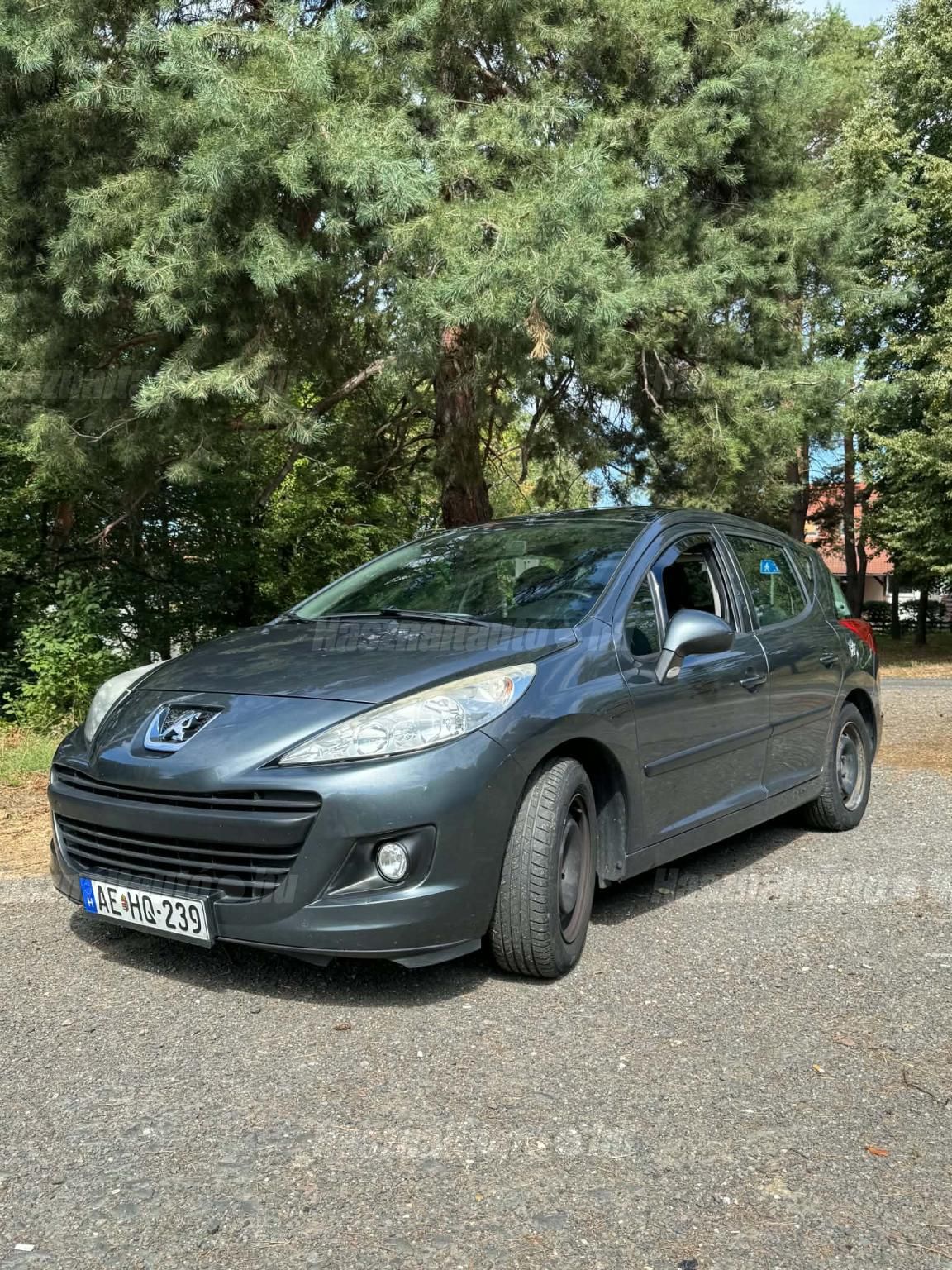 PEUGEOT 207 2010/10 - 1