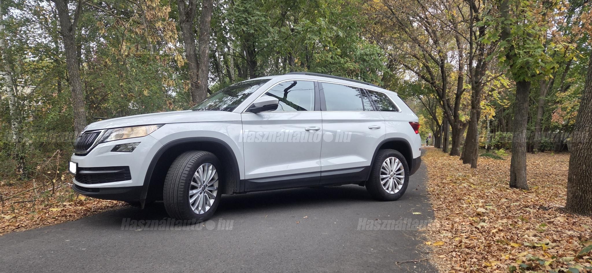 SKODA KODIAQ 2019/12 - 1