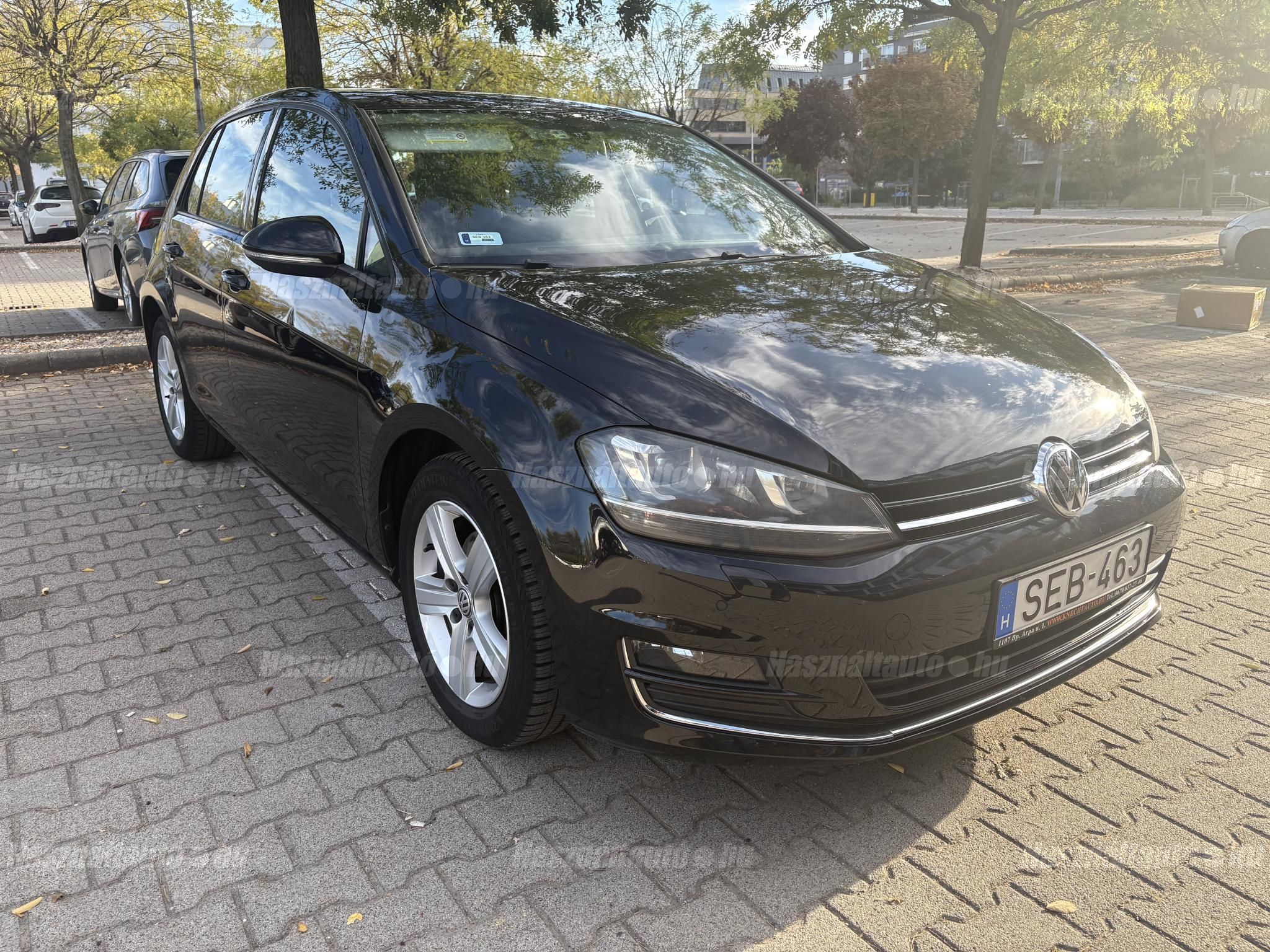VOLKSWAGEN GOLF VII 2013 - 1