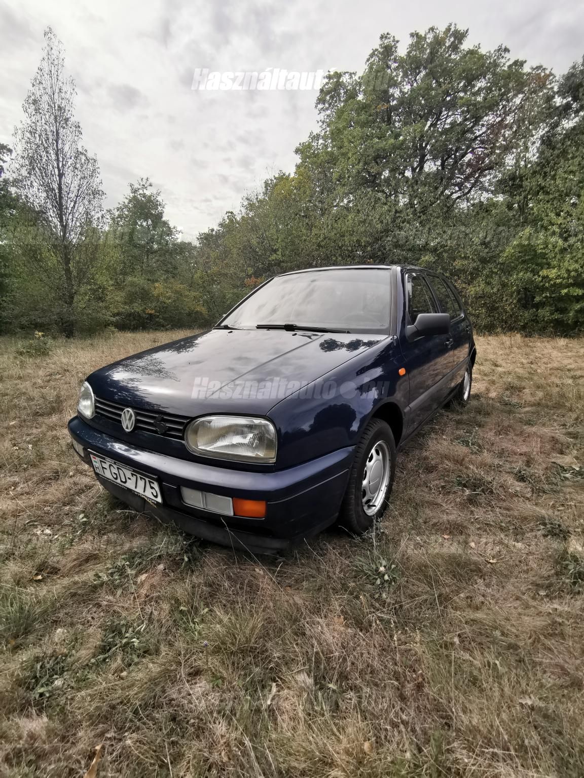 VOLKSWAGEN GOLF III 1995/11 - 1