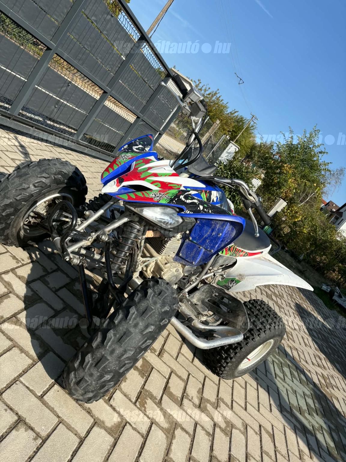 YAMAHA YFM 250 2013 - 1