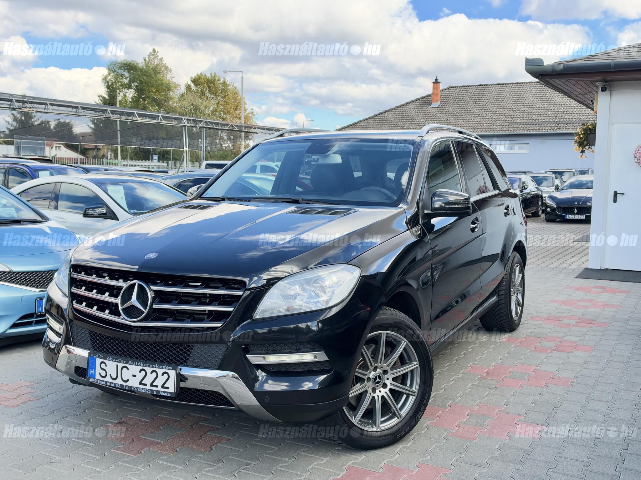 MERCEDES-BENZ ML 250 2013/5 - 1