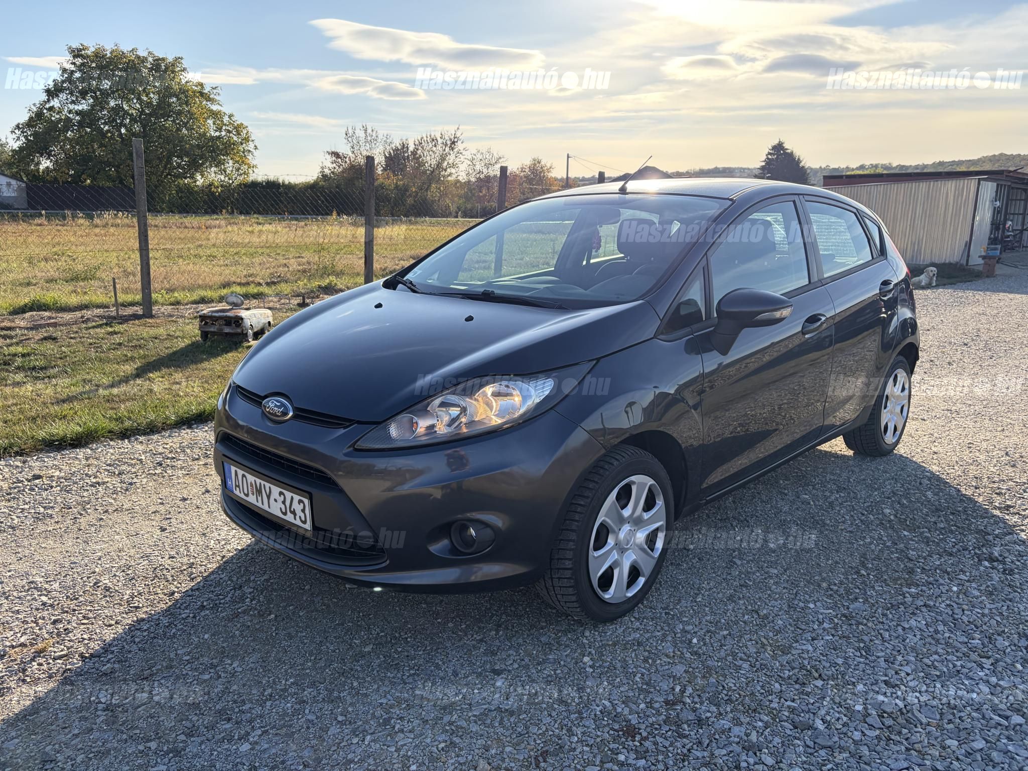 FORD FIESTA 2010/3 - 1