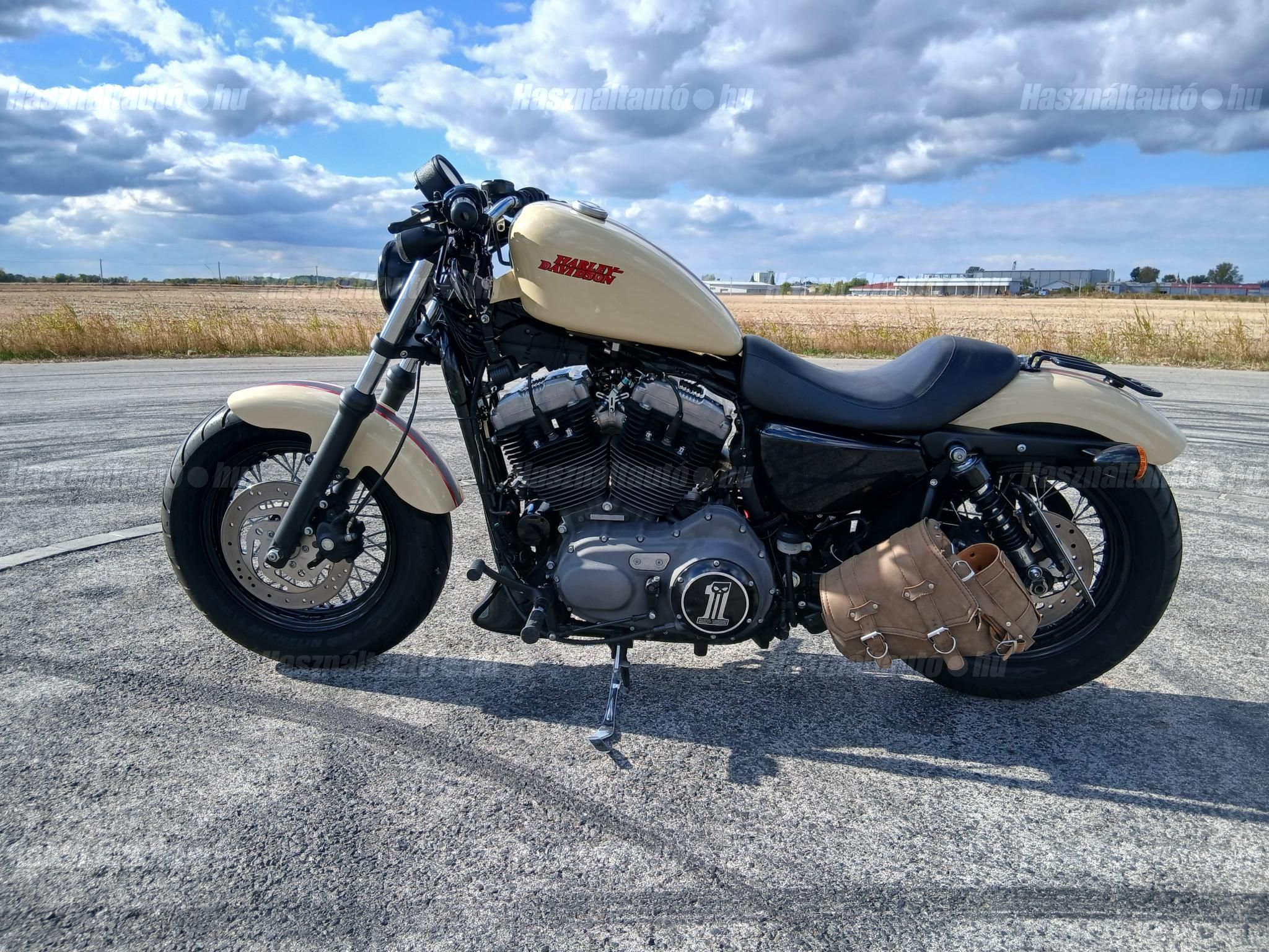HARLEY-DAVIDSON SPORTSTER 2008 - 1