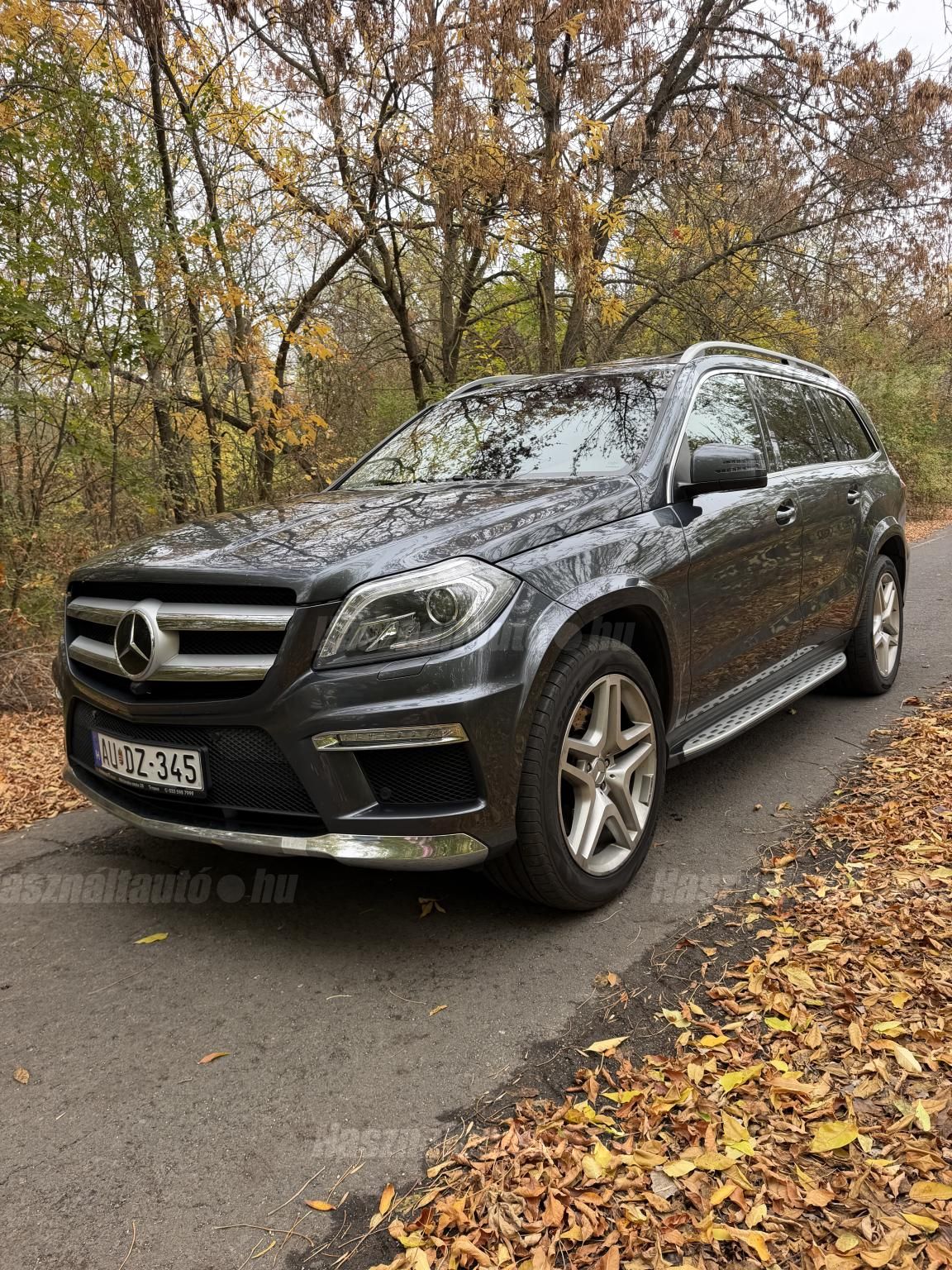 MERCEDES-BENZ GL 350 2014/5 - 1
