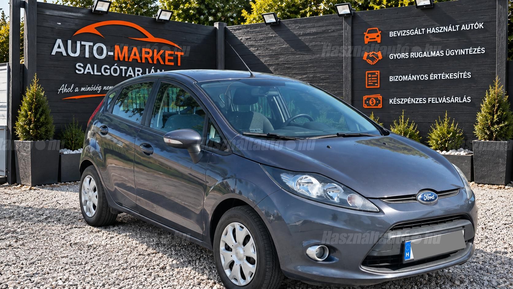 FORD FIESTA 2012 - 1