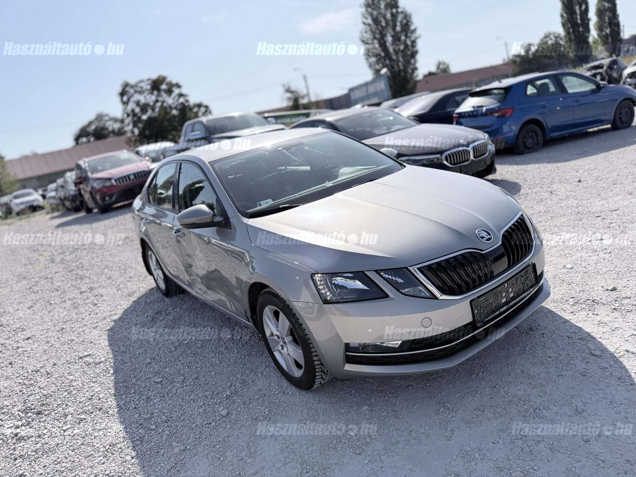 SKODA OCTAVIA 2019/3 - 1