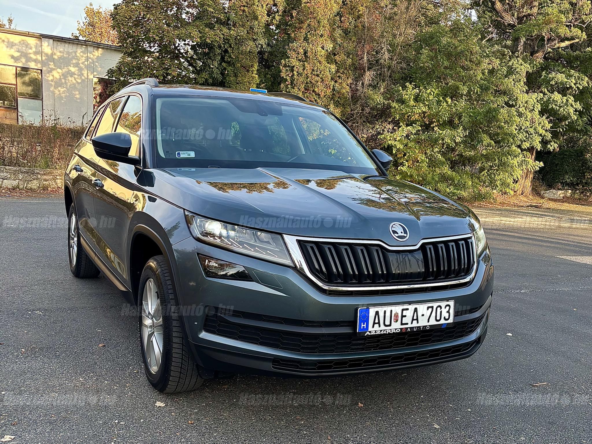 SKODA KODIAQ 2019/6 - 1