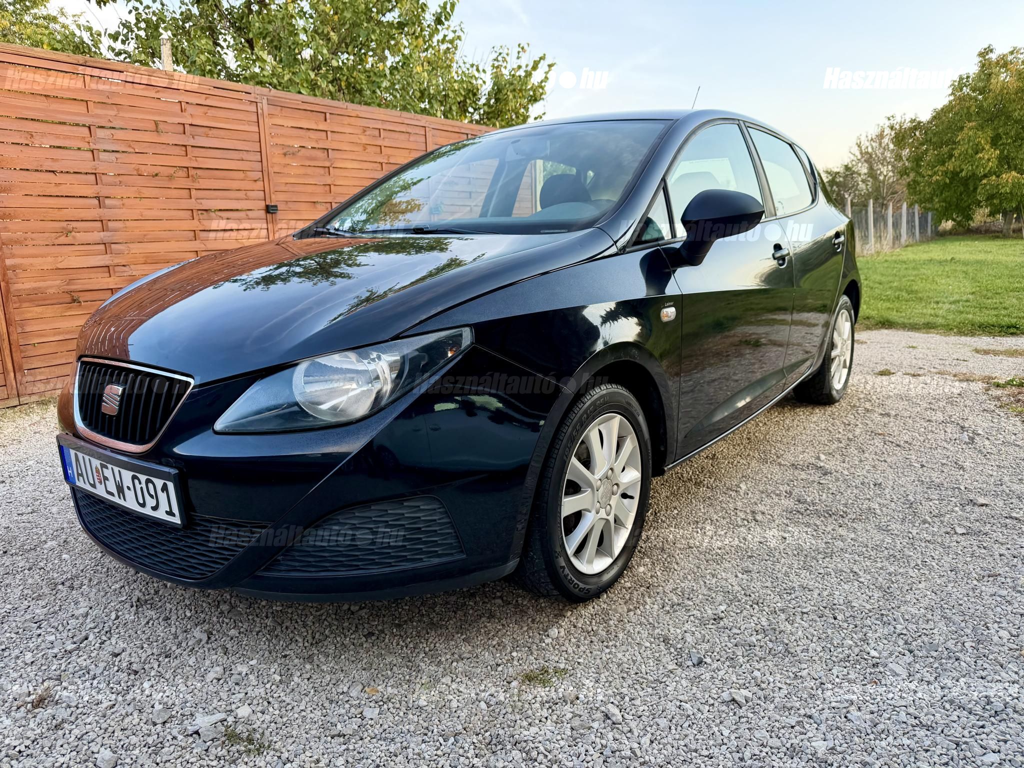 SEAT IBIZA 2010/6 - 1