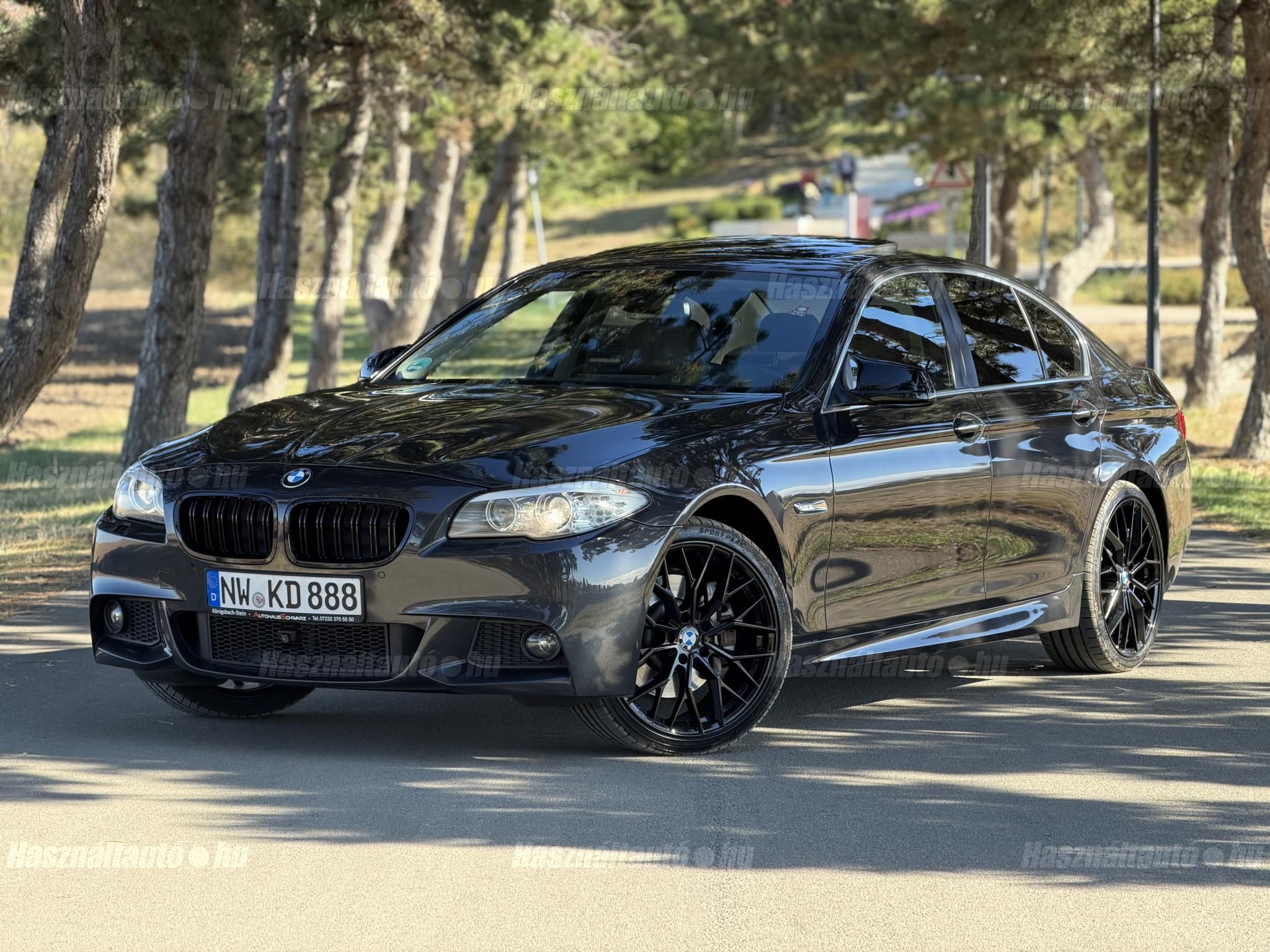 BMW 530 2012/2 - 1